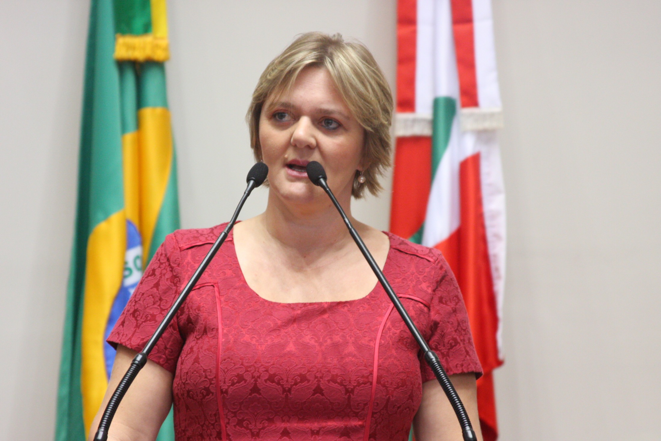 Sessão Ordinária - Plenário Osni Régis - Deputada Luciane Carminatti (PT)