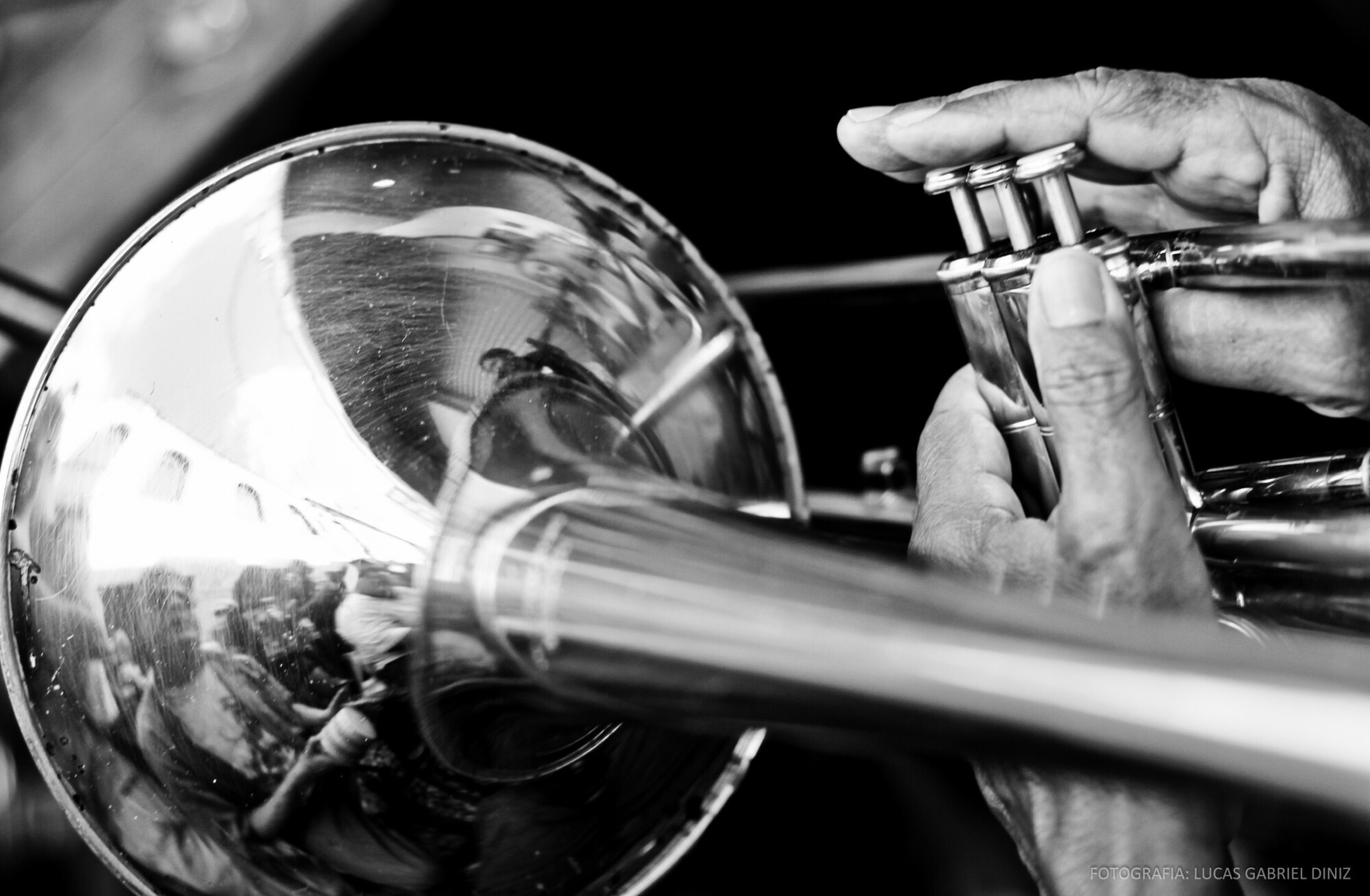 Samba de Raiz de Lucas Gabriel Diniz