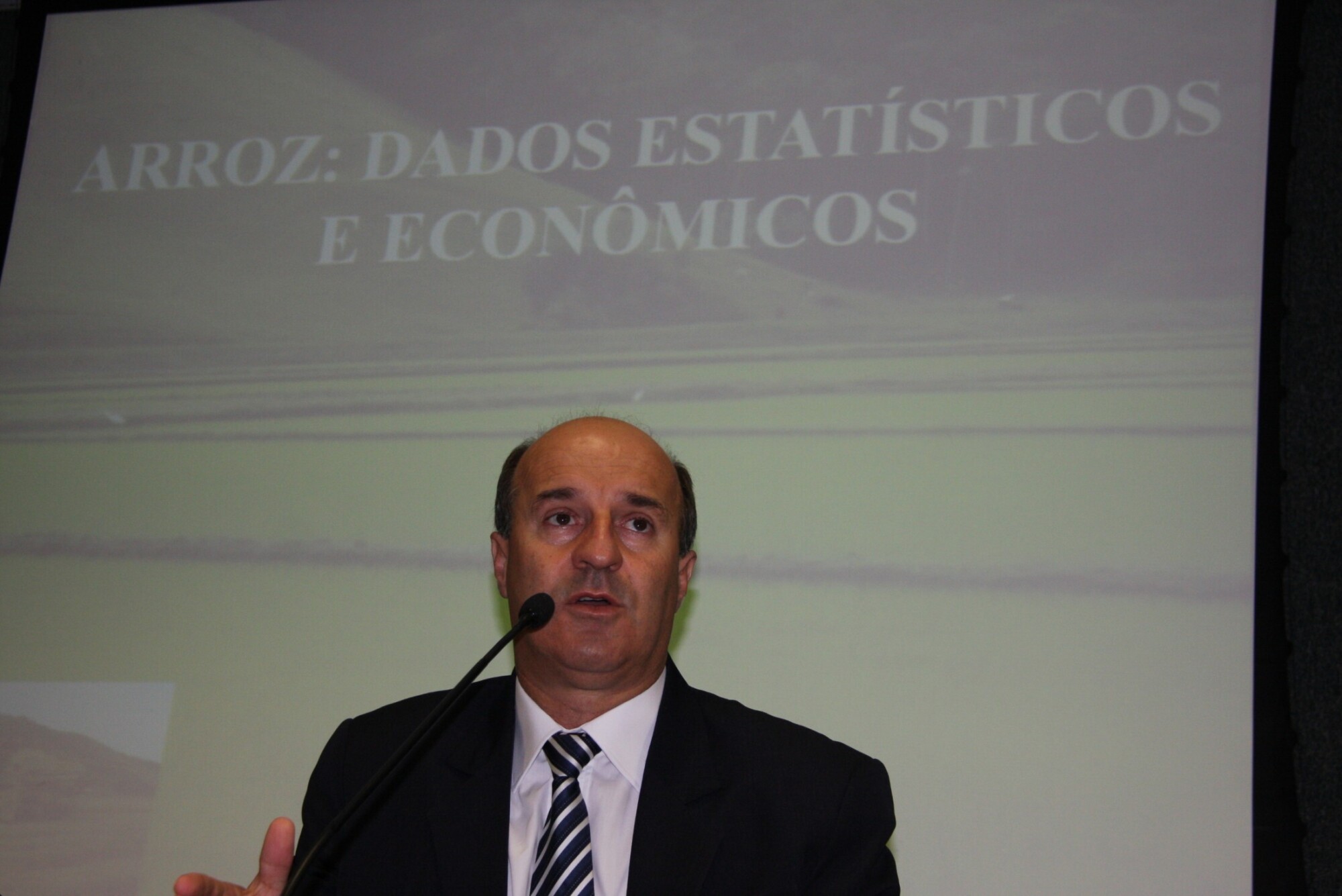 Rizicultores debatem demandas do setor