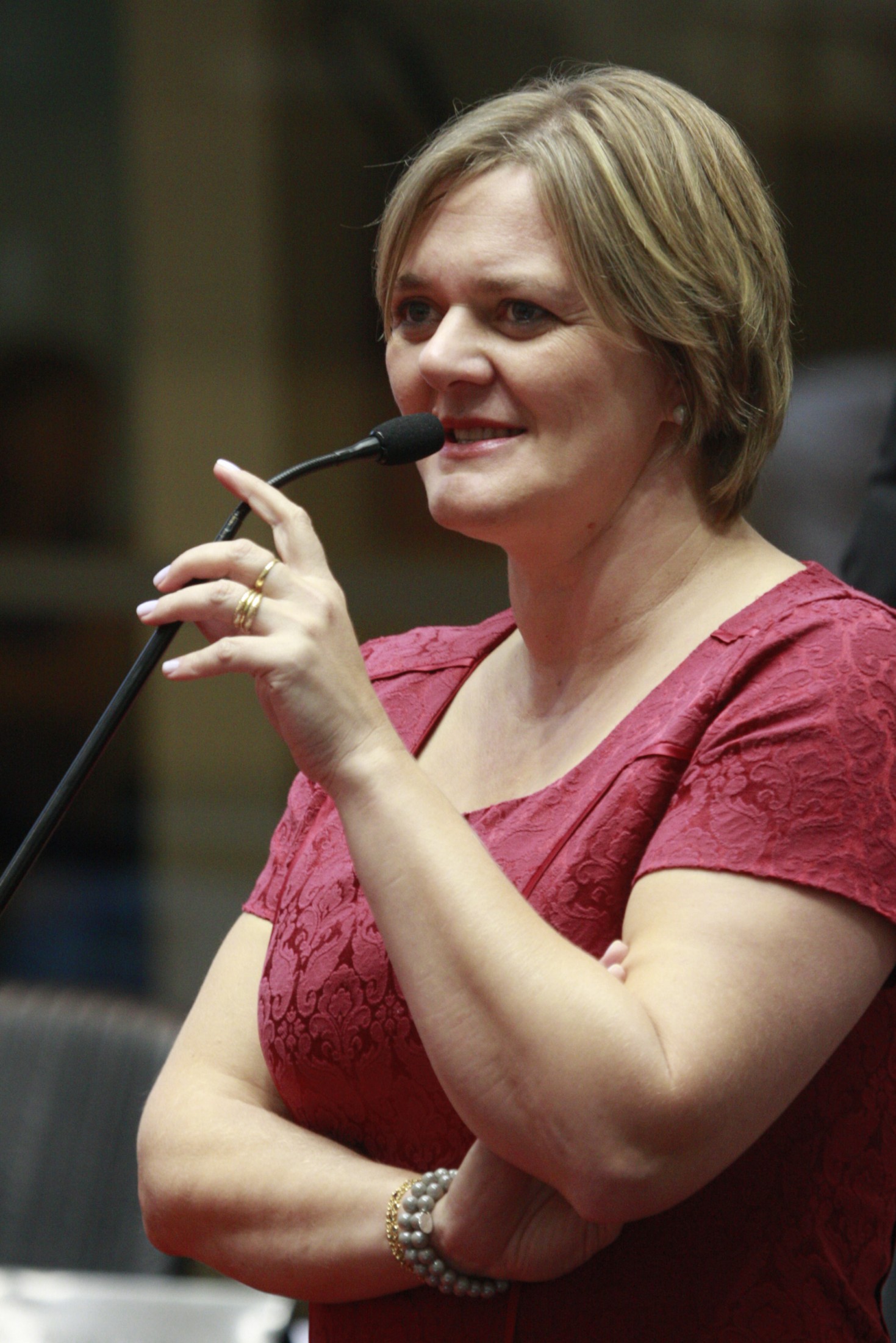 Sessão Ordinária – Deputada Luciane Carminatti PT