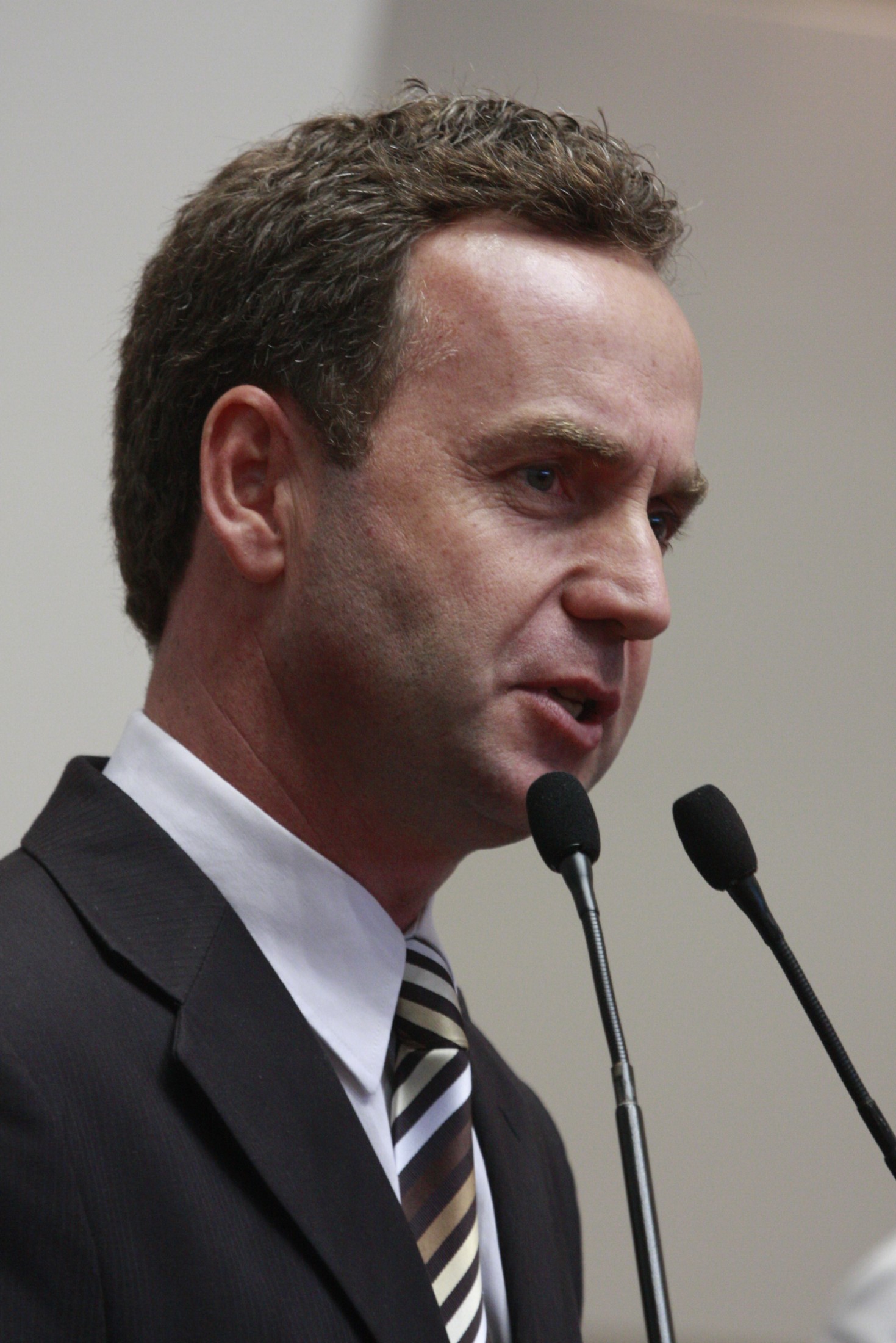 Sessão Ordinária – Deputado Dieter Janssen (PP)