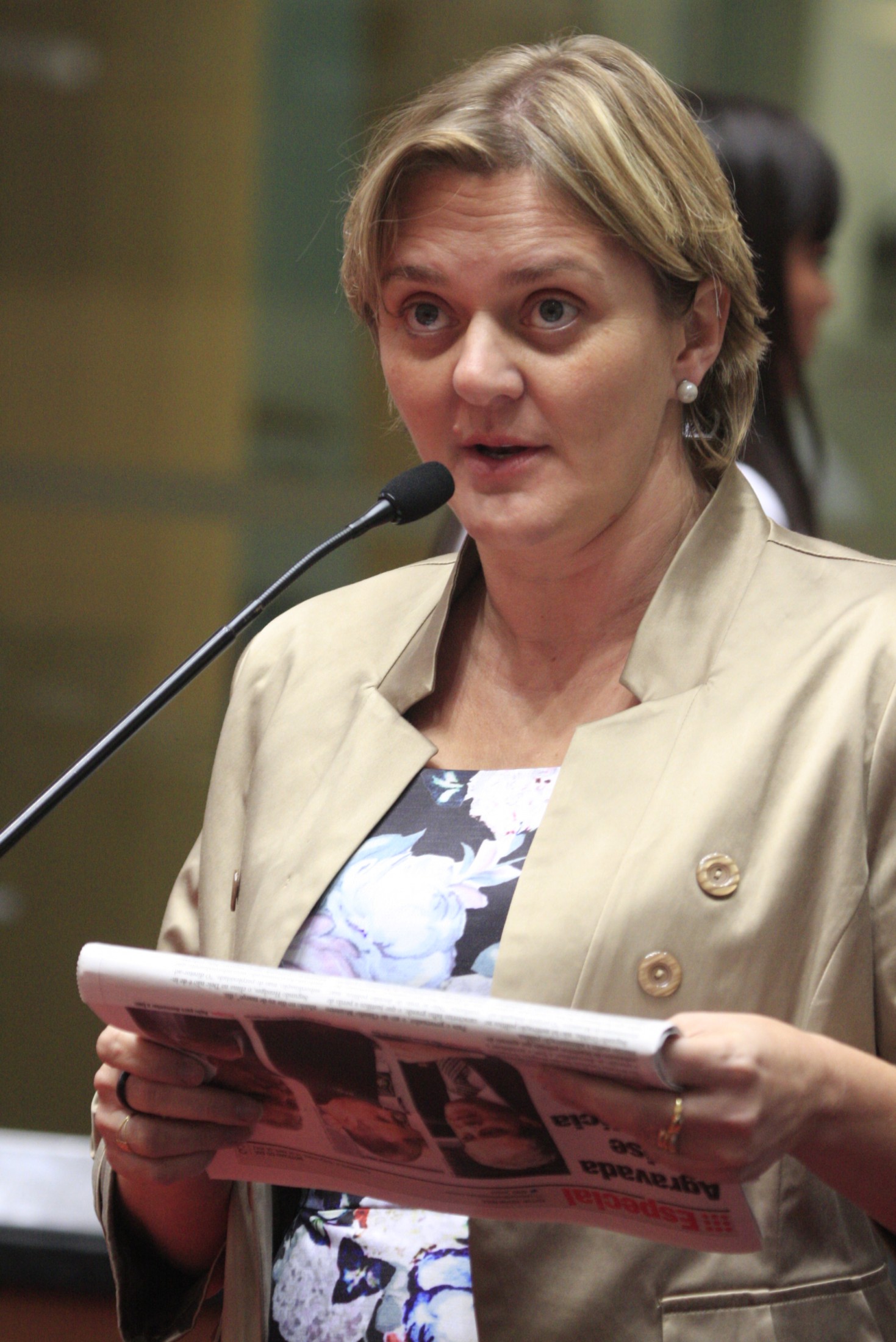 Sessão Ordinária - Plenário Osni Régis - Deputada Luciane Carminatti (PT)