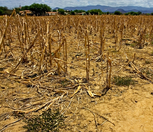 Seca em Santa Catarina