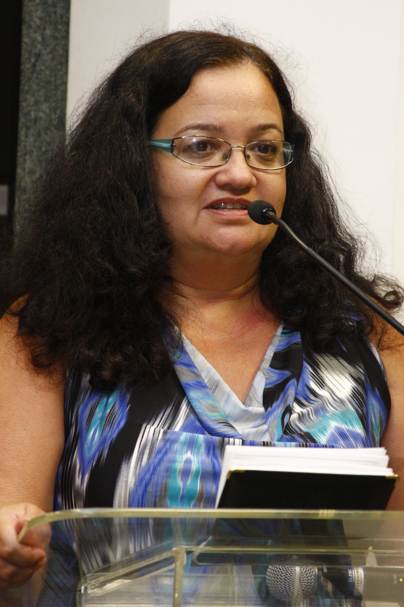 Criação do Grupo de Apoio sobre a Questão das Malvinas - Maria de Lourdes Borges