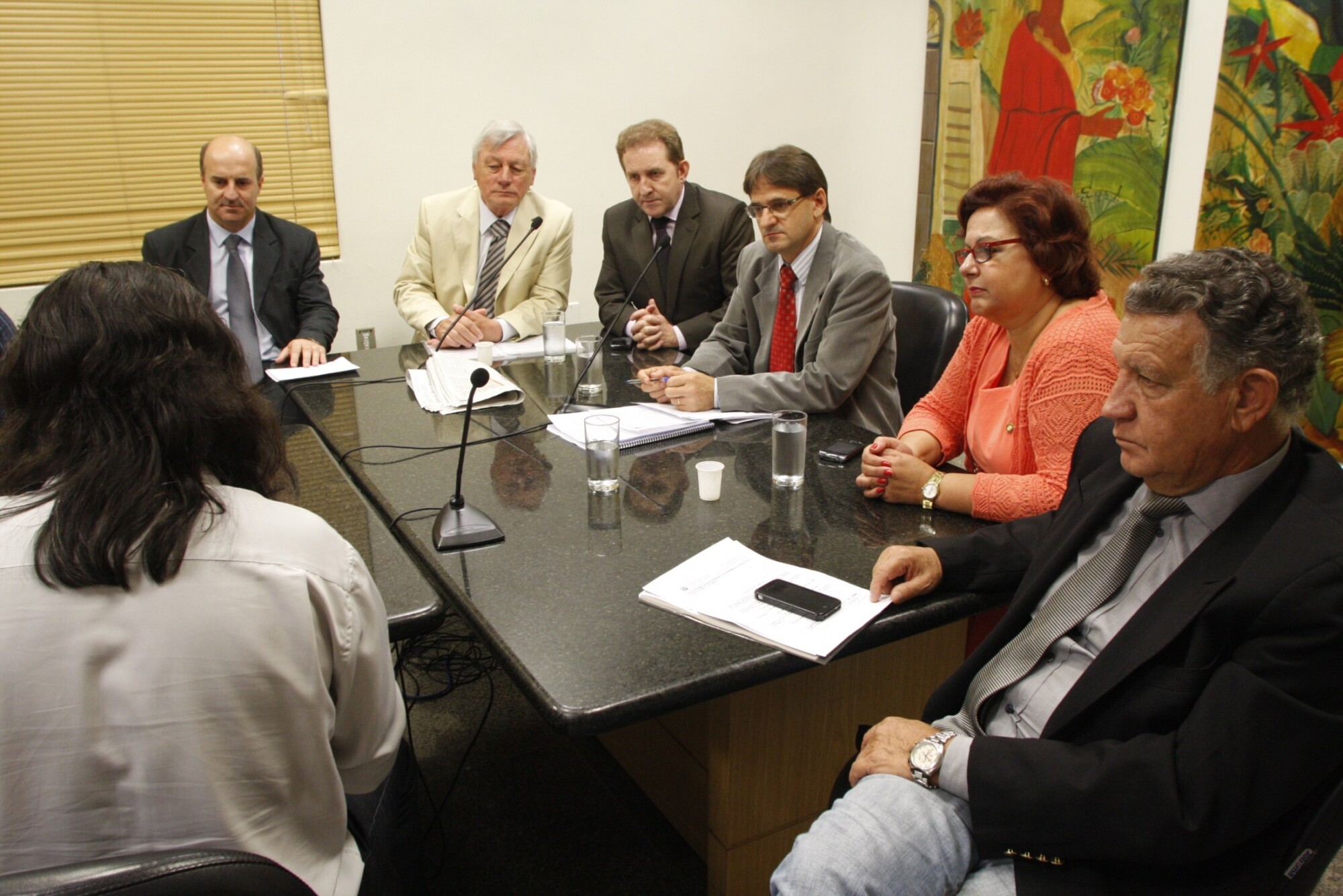 Reunião da Comissão de Turismo e Meio Ambiente