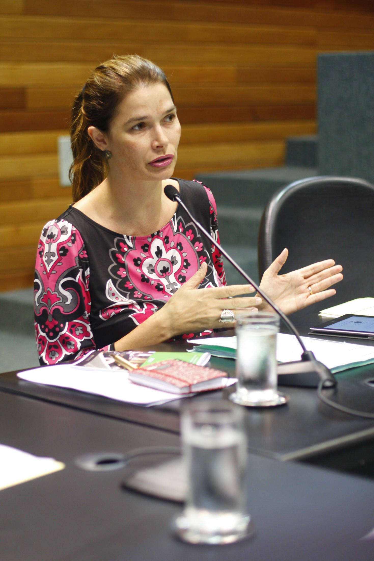 Reunião da Comissão de Educação