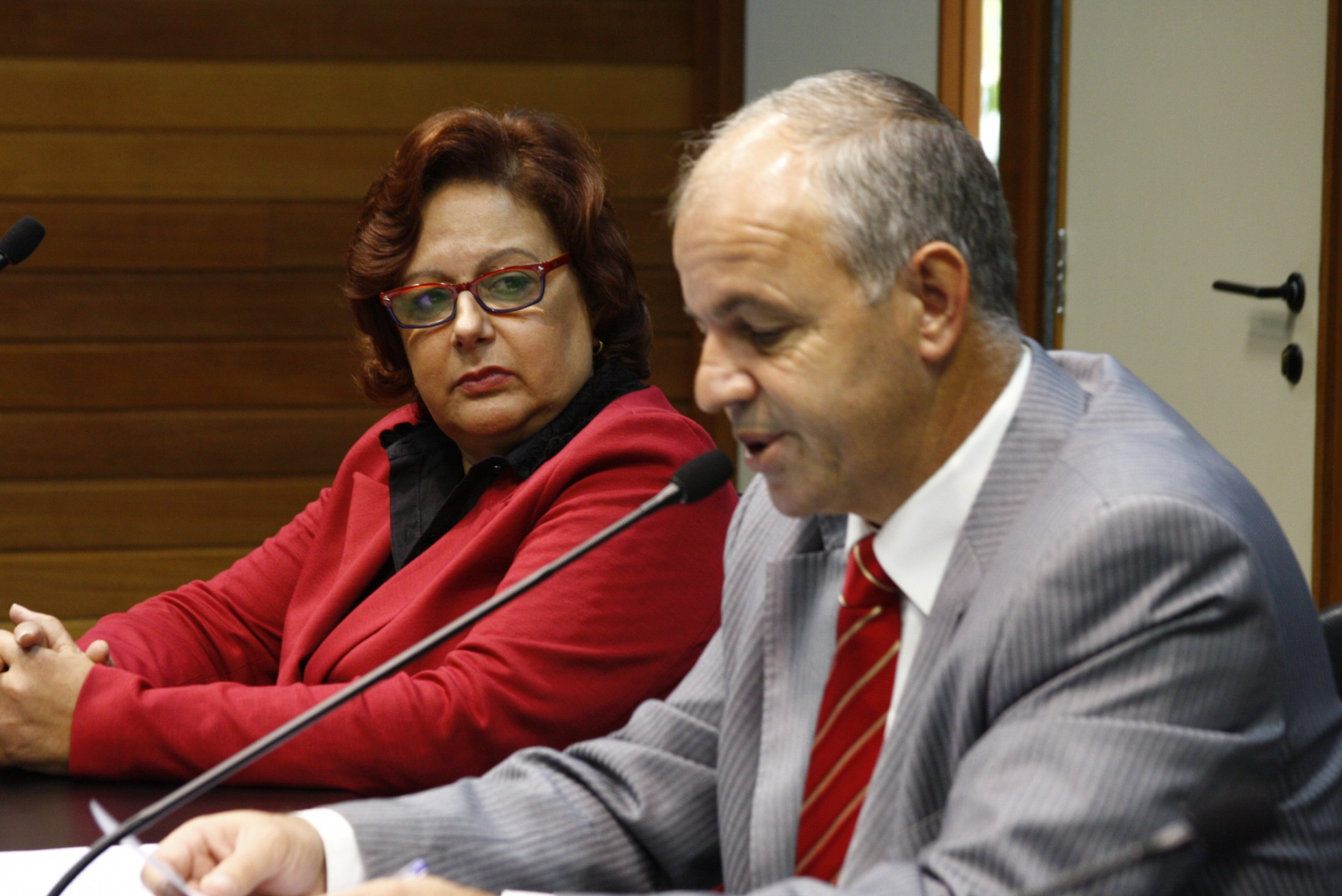 Reunião da Comissão de Segurança Pública