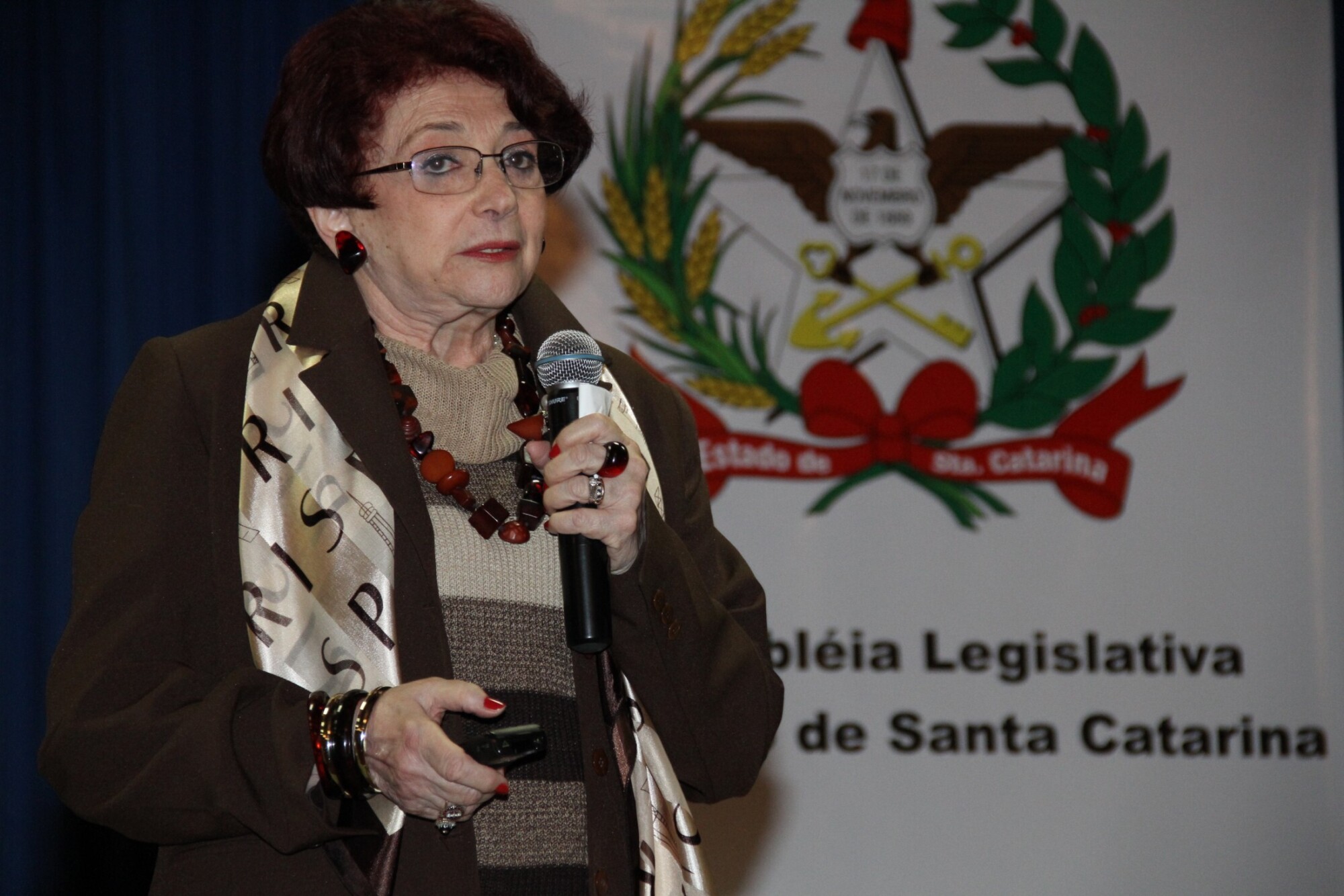 “A inclusão que dá certo” foi tema de palestra que abriu o seminário sobre inclusão de pessoas com d