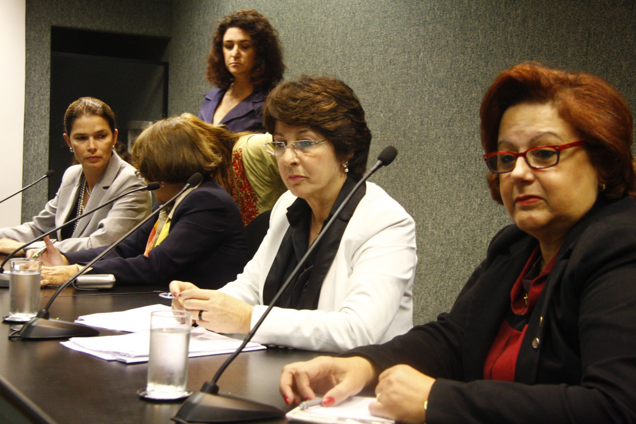 CPMI do Congresso Nacional sobre violência contra a mulher