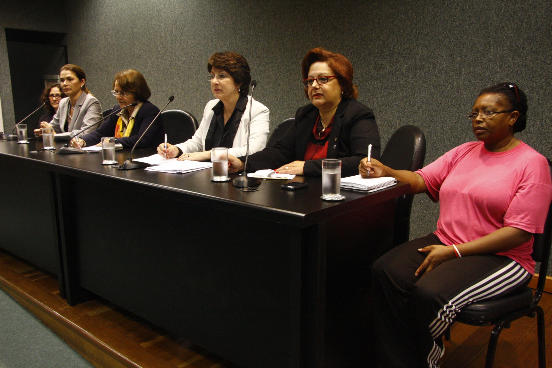 CPMI do Congresso Nacional sobre violência contra a mulher