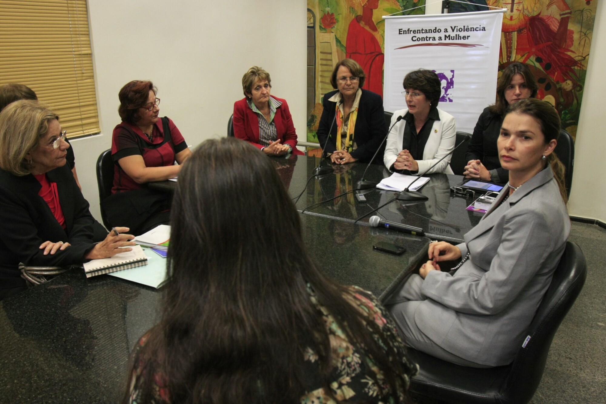 Comitiva - Enfrentando a Violência Contra a Mulher