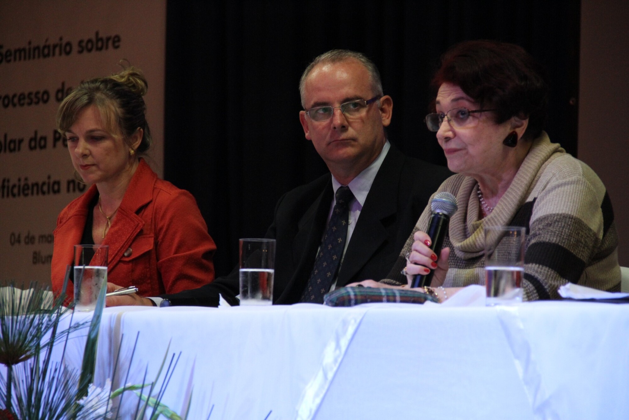 Seminário sobre o processo de inclusão escolar da pessoa com deficiência no Brasil - Blumenau
