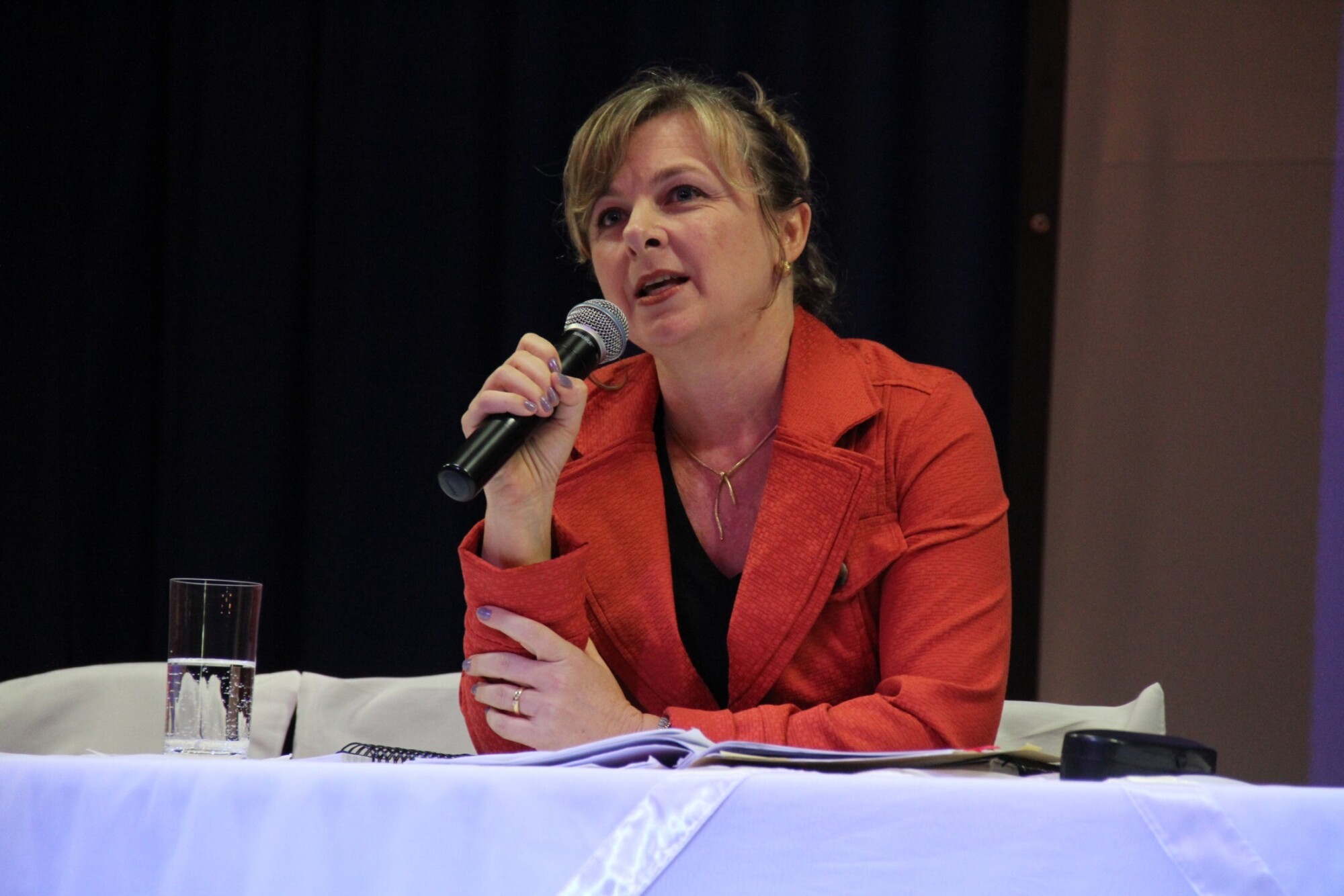 Seminário sobre o processo de inclusão escolar da pessoa com deficiência no Brasil - Blumenau