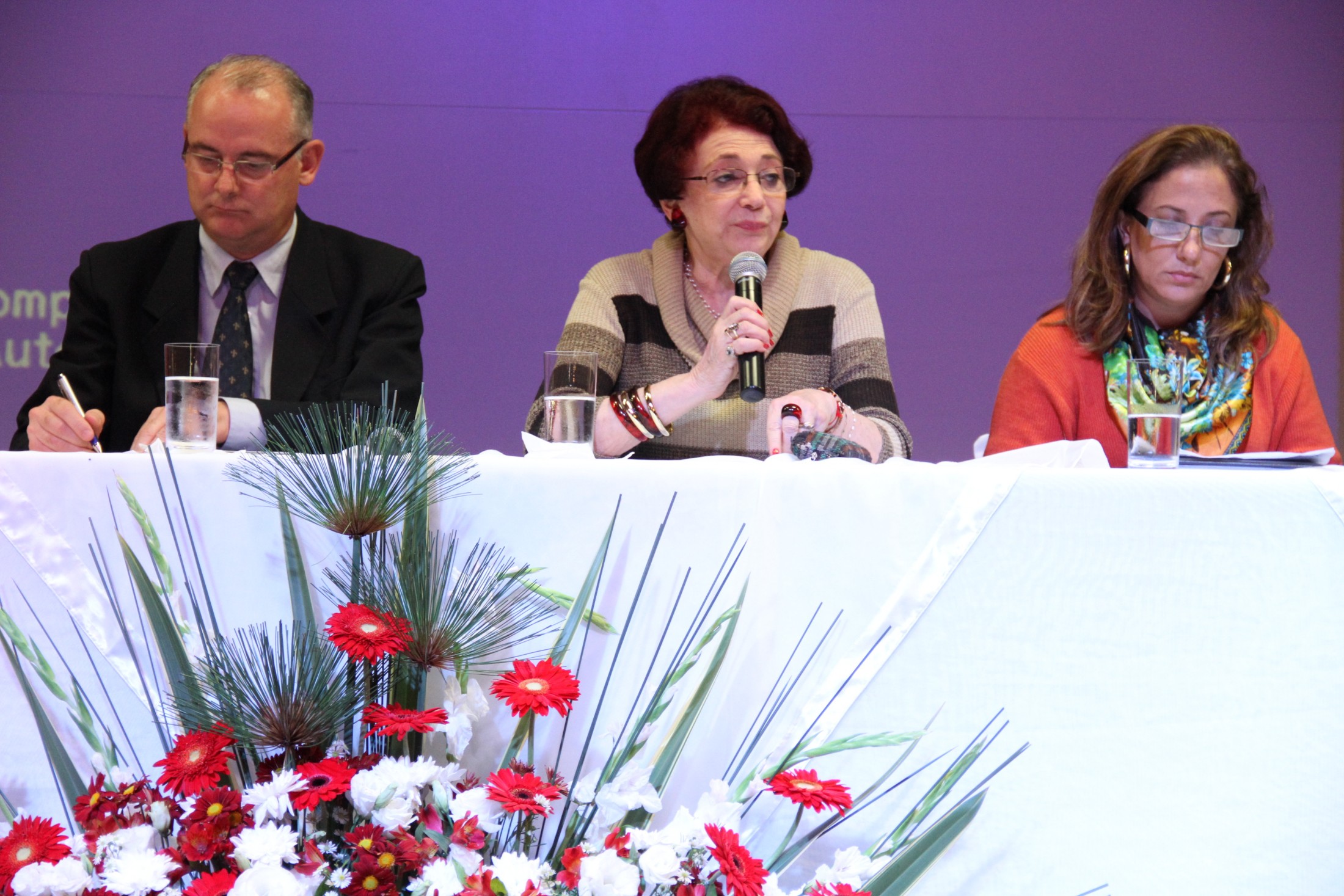 Seminário sobre o processo de inclusão escolar da pessoa com deficiência no Brasil - Blumenau