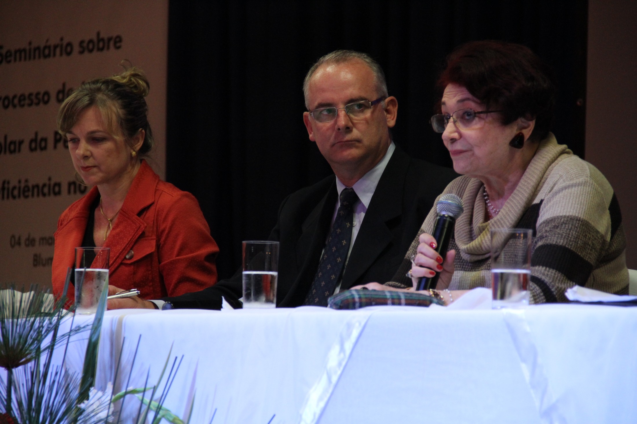 Seminário sobre o processo de inclusão escolar da pessoa com deficiência no Brasil - Blumenau