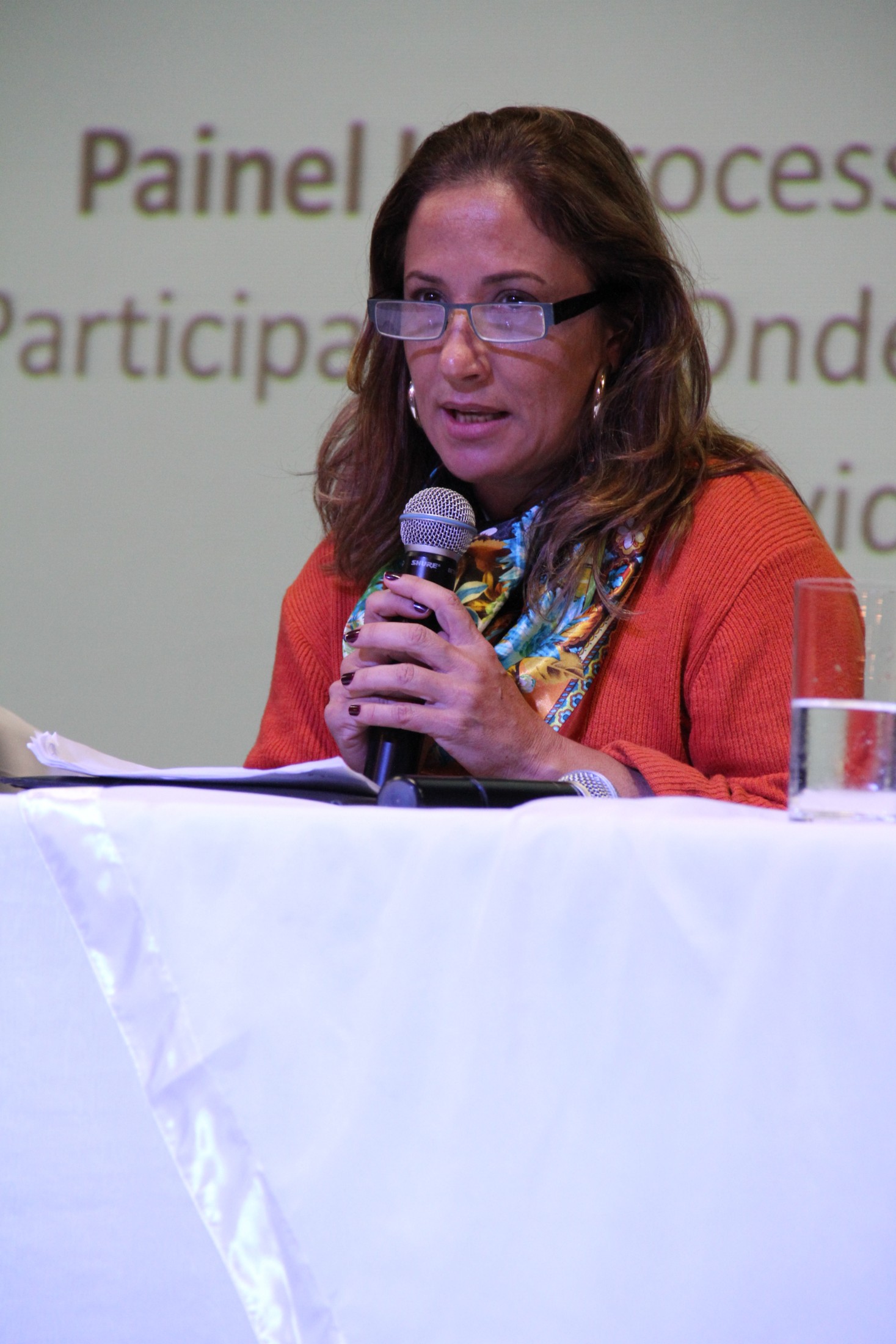 Seminário sobre o processo de inclusão escolar da pessoa com deficiência no Brasil - Blumenau