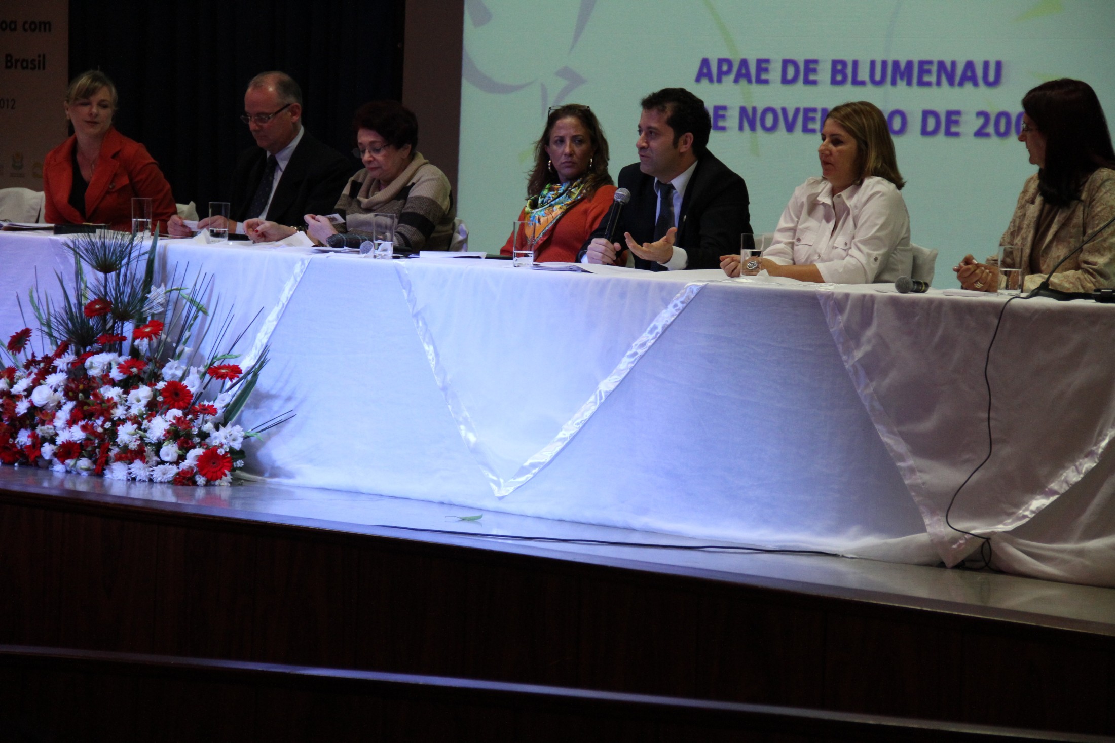 Seminário sobre o processo de inclusão escolar da pessoa com deficiência no Brasil - Blumenau