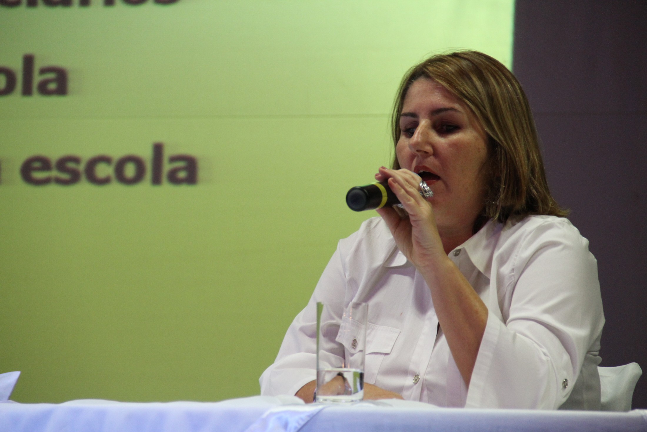 Seminário sobre o processo de inclusão escolar da pessoa com deficiência no Brasil - Blumenau