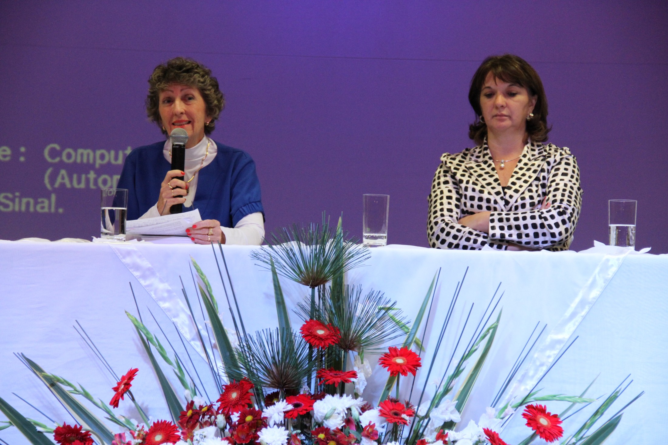 Seminário sobre o processo de inclusão escolar
