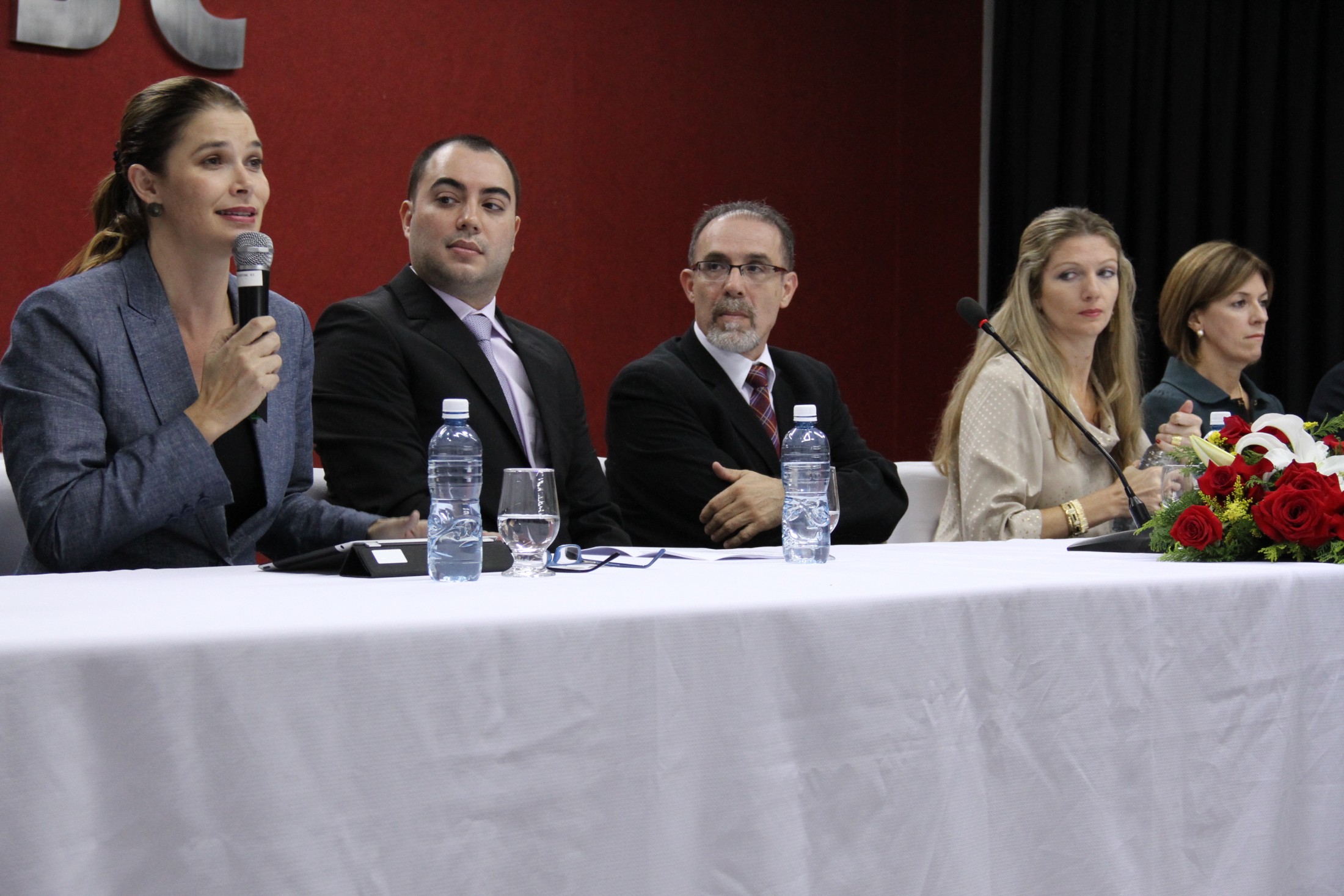 Seminário Para Todos - O Movimento Político das Pessoas com Deficiência no Brasil