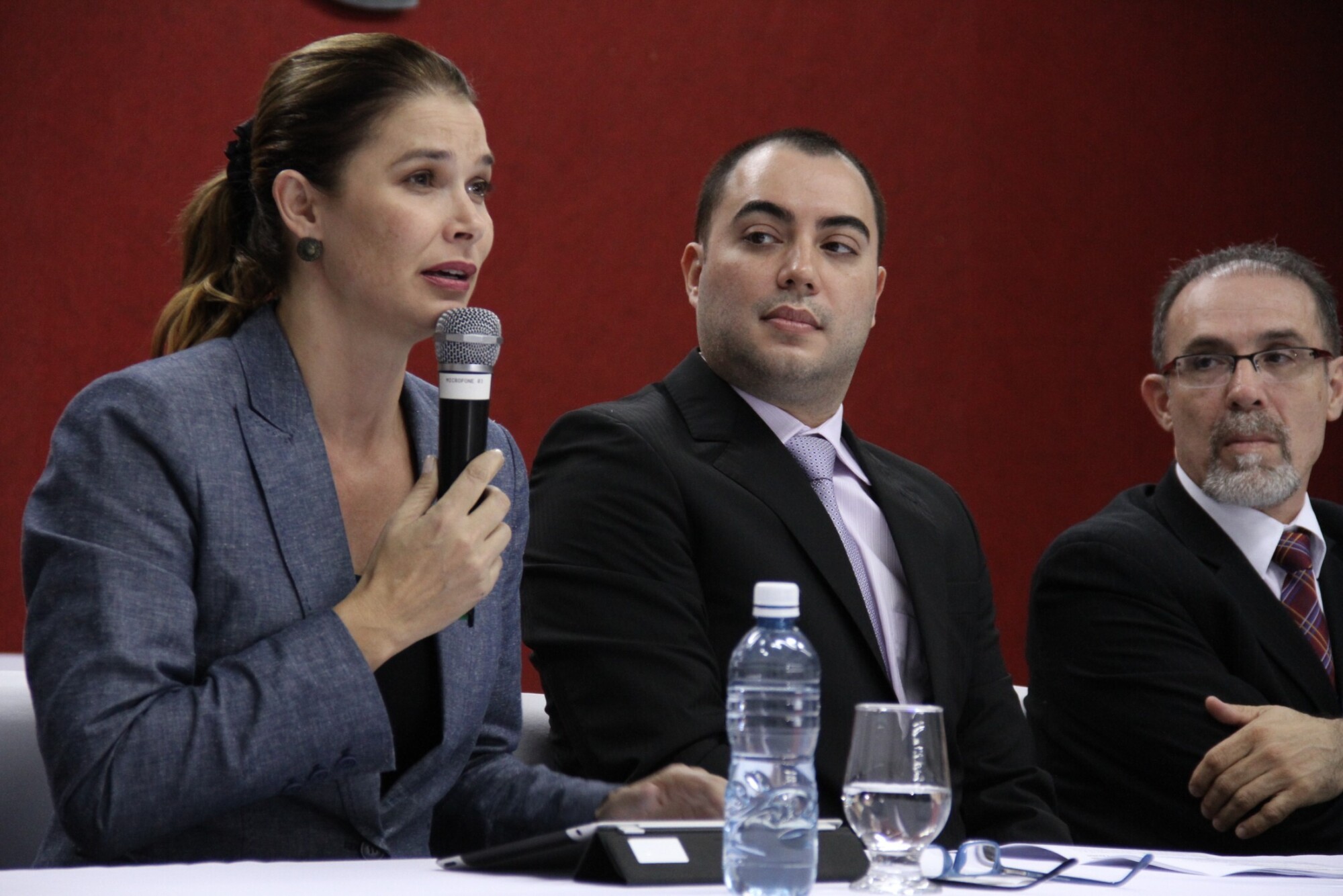 Seminário Para Todos - O Movimento Político das Pessoas com Deficiência no Brasil