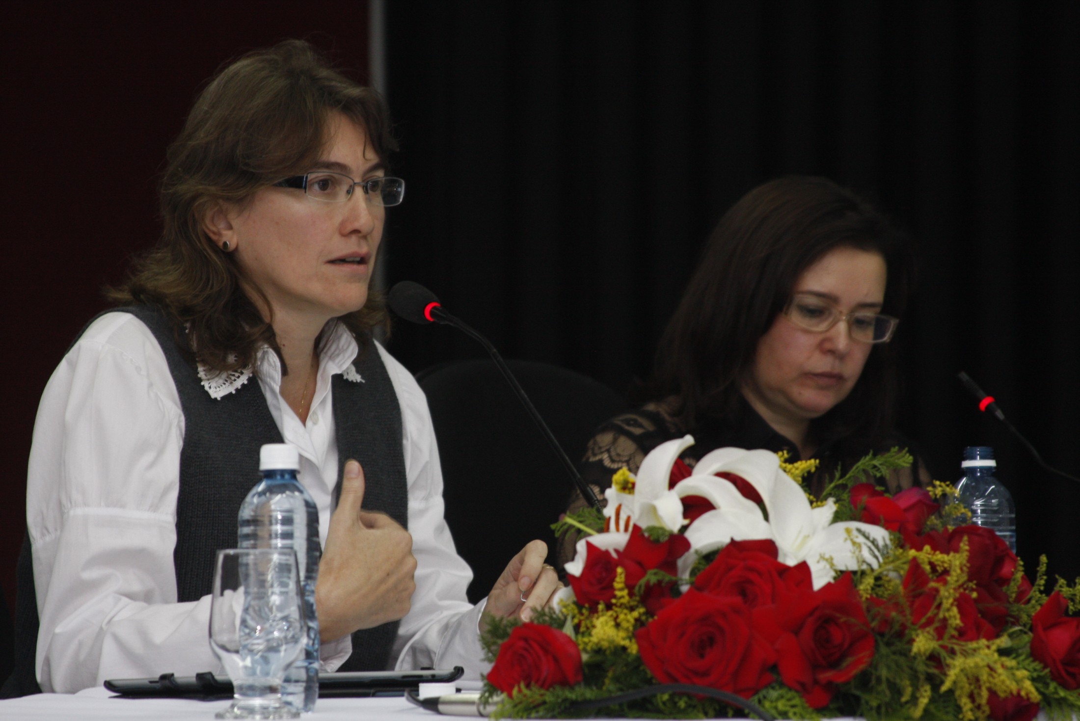 Seminário Para Todos - O Movimento Político das Pessoas com Deficiência no Brasil