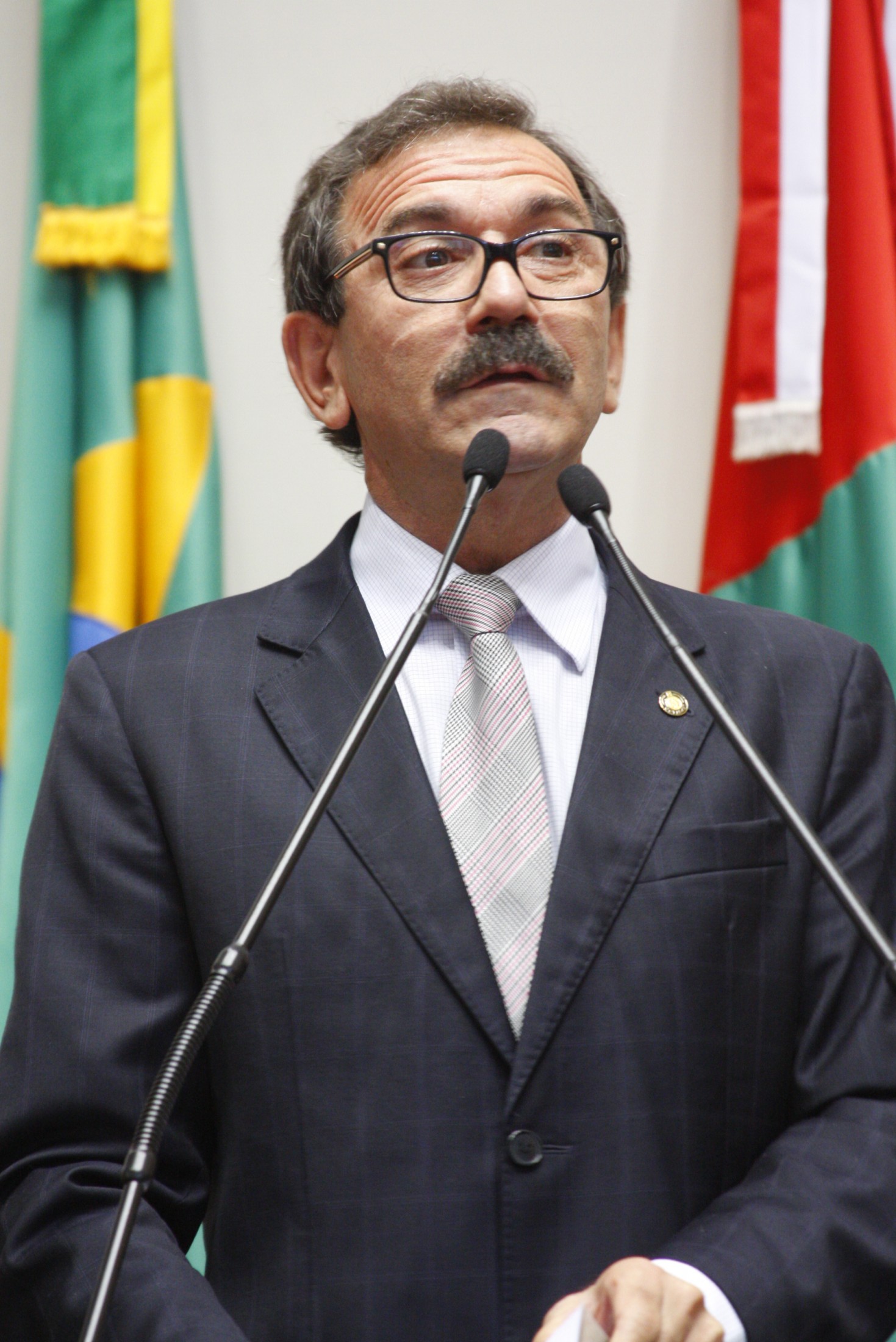 Sessão Ordinária – Deputado Serafim Venzon (PSDB)