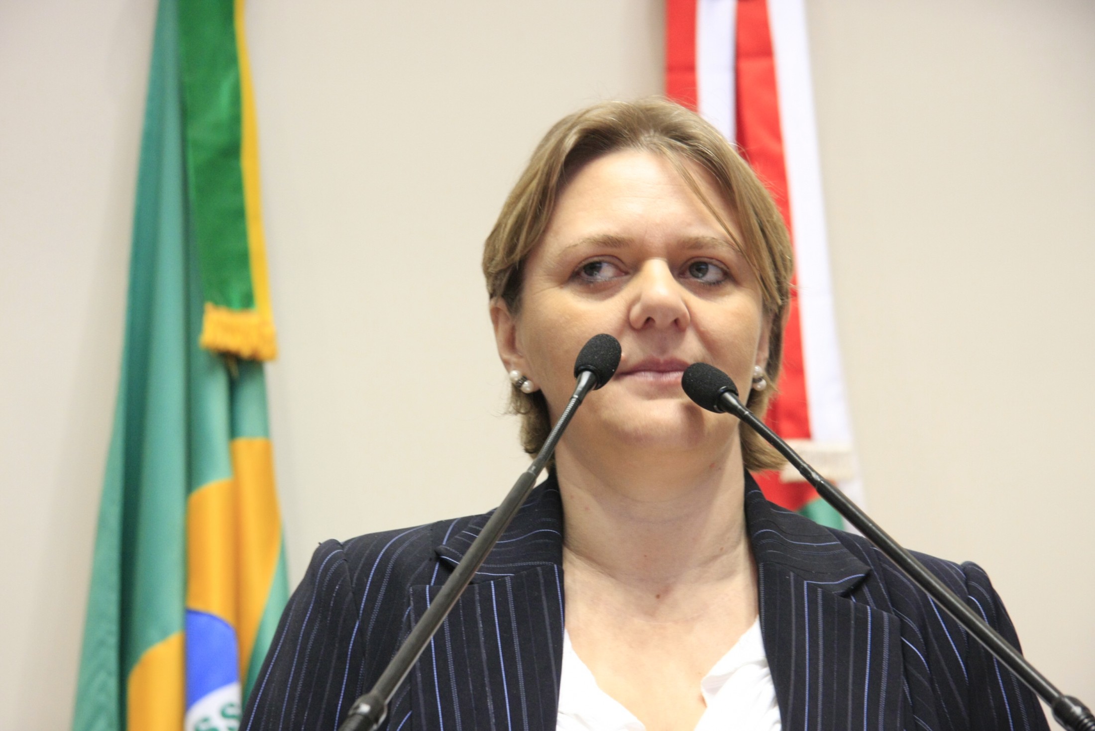 Sessão Ordinária – Deputada Luciane Carminatti PT