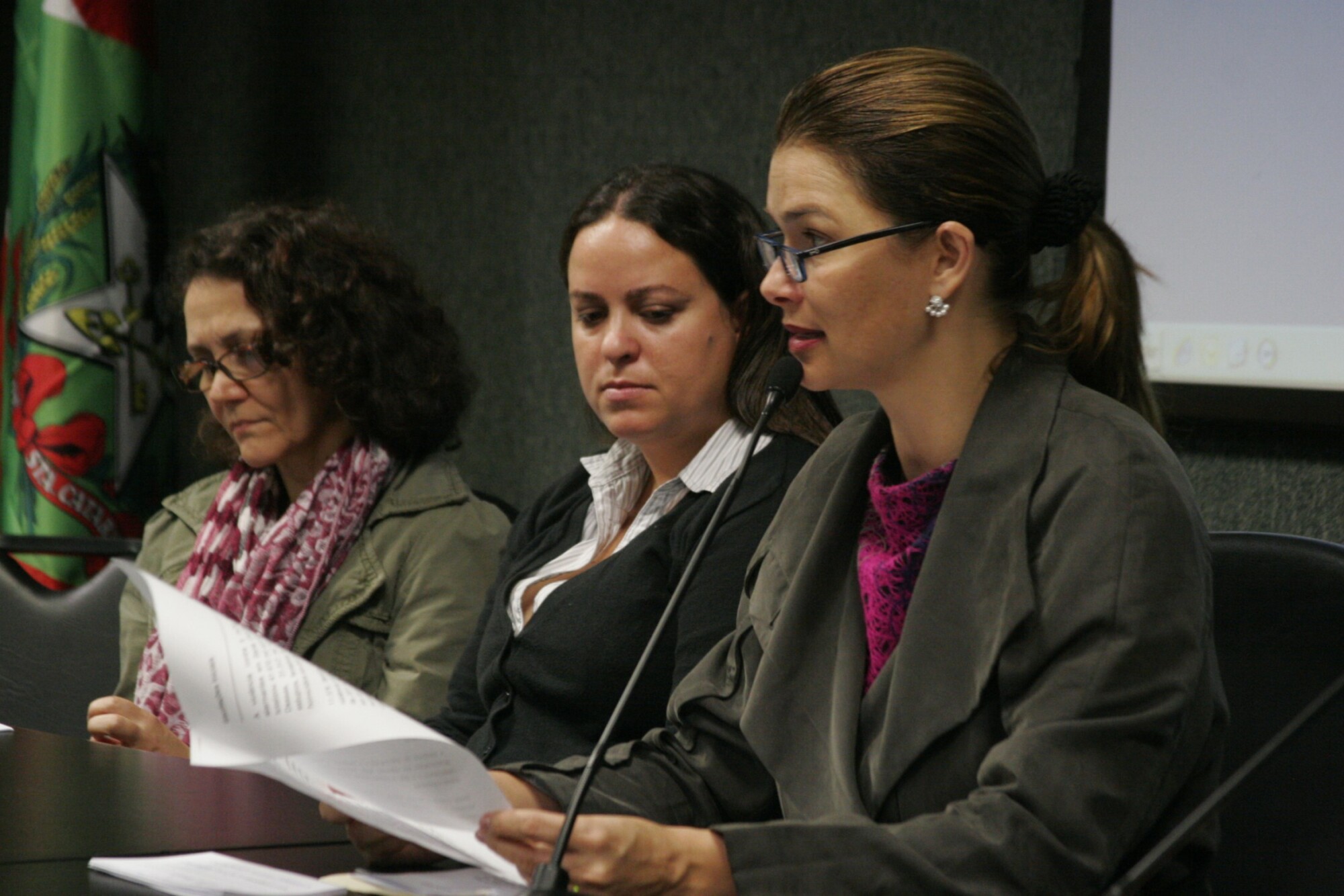 Encontro Regional - A Violência Contra a Mulher