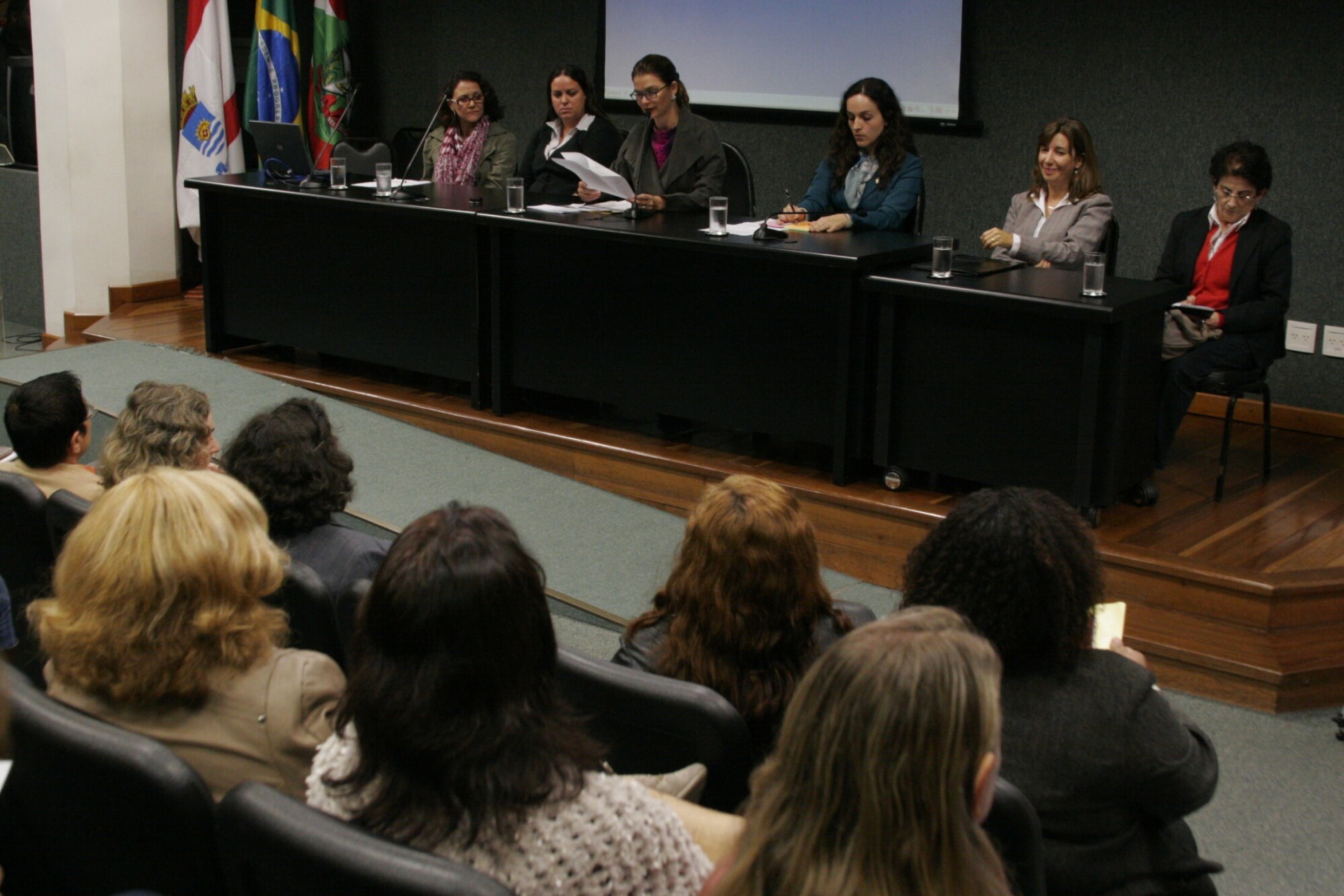 Encontro Regional - A Violência Contra a Mulher