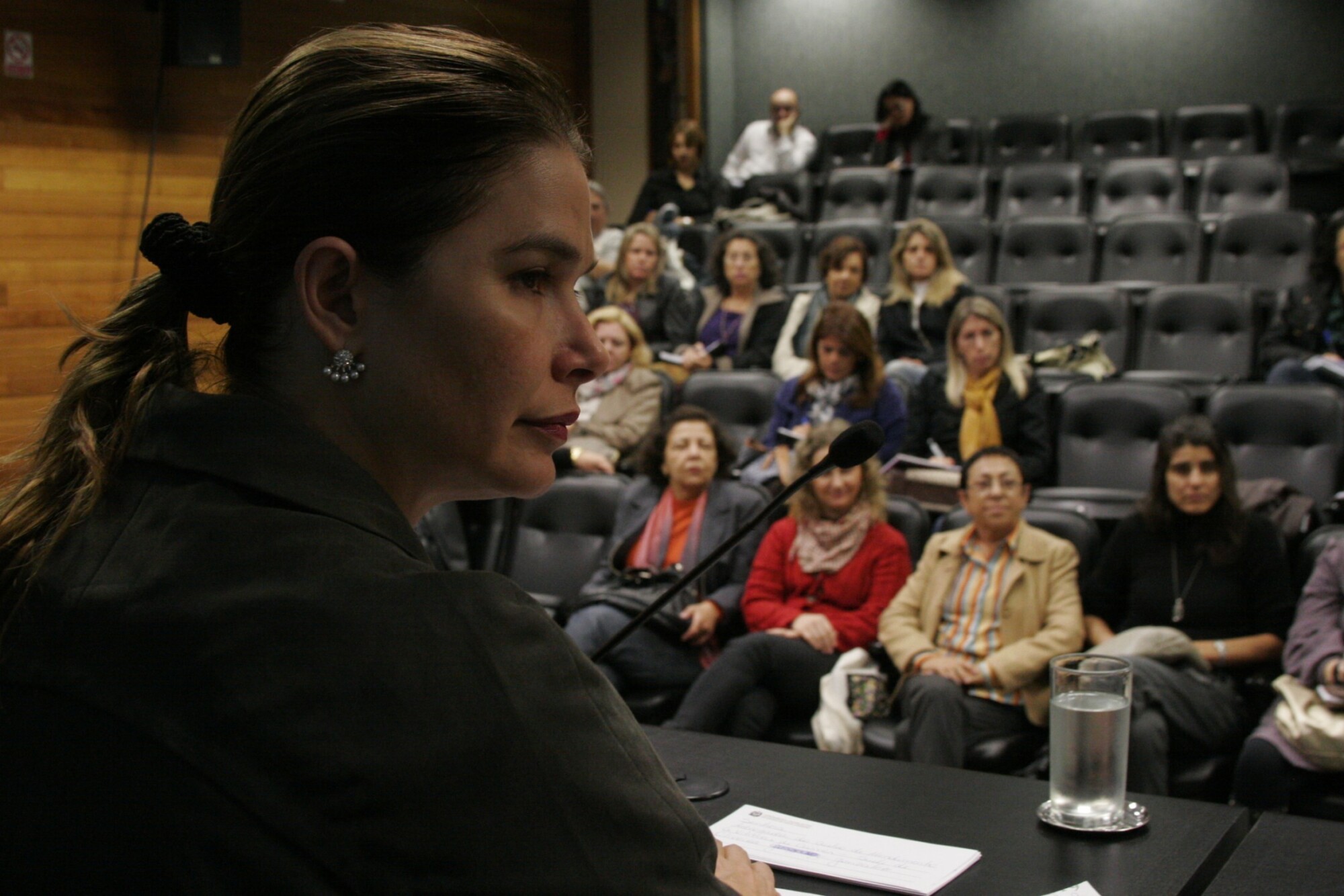 Encontro Regional - A Violência Contra a Mulher