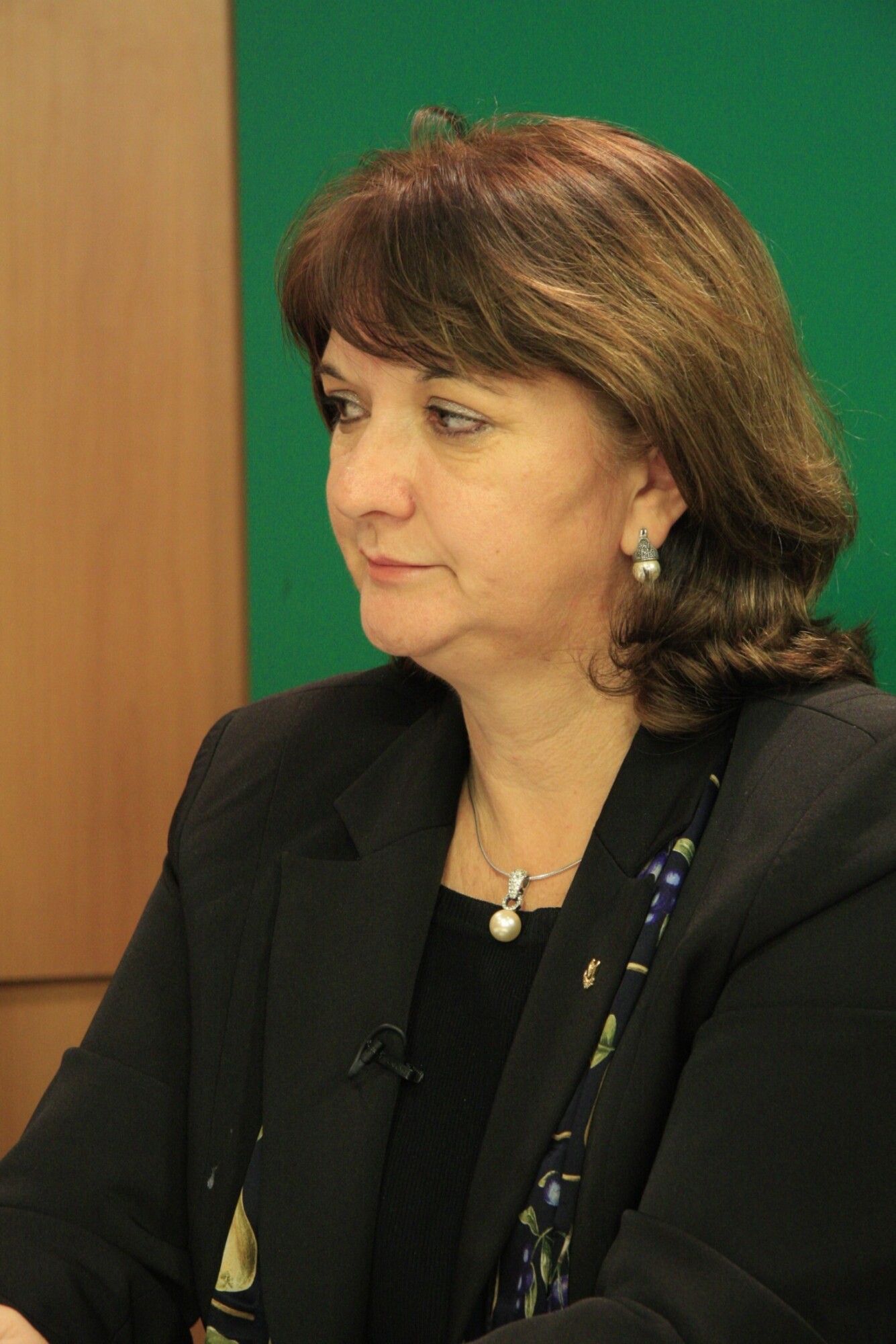 TV AL - Parlamento Debate