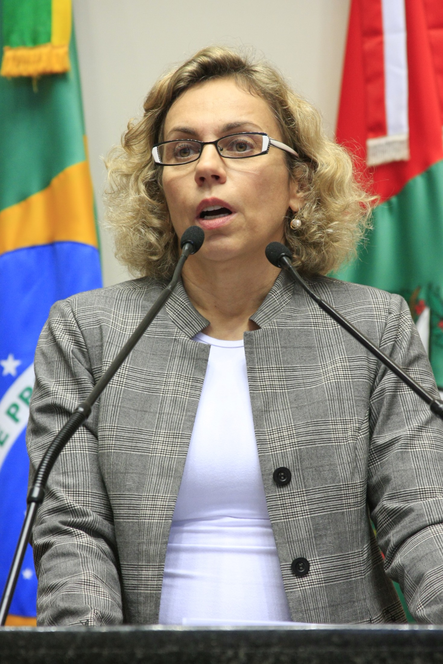 Sessão Ordinária - manhã