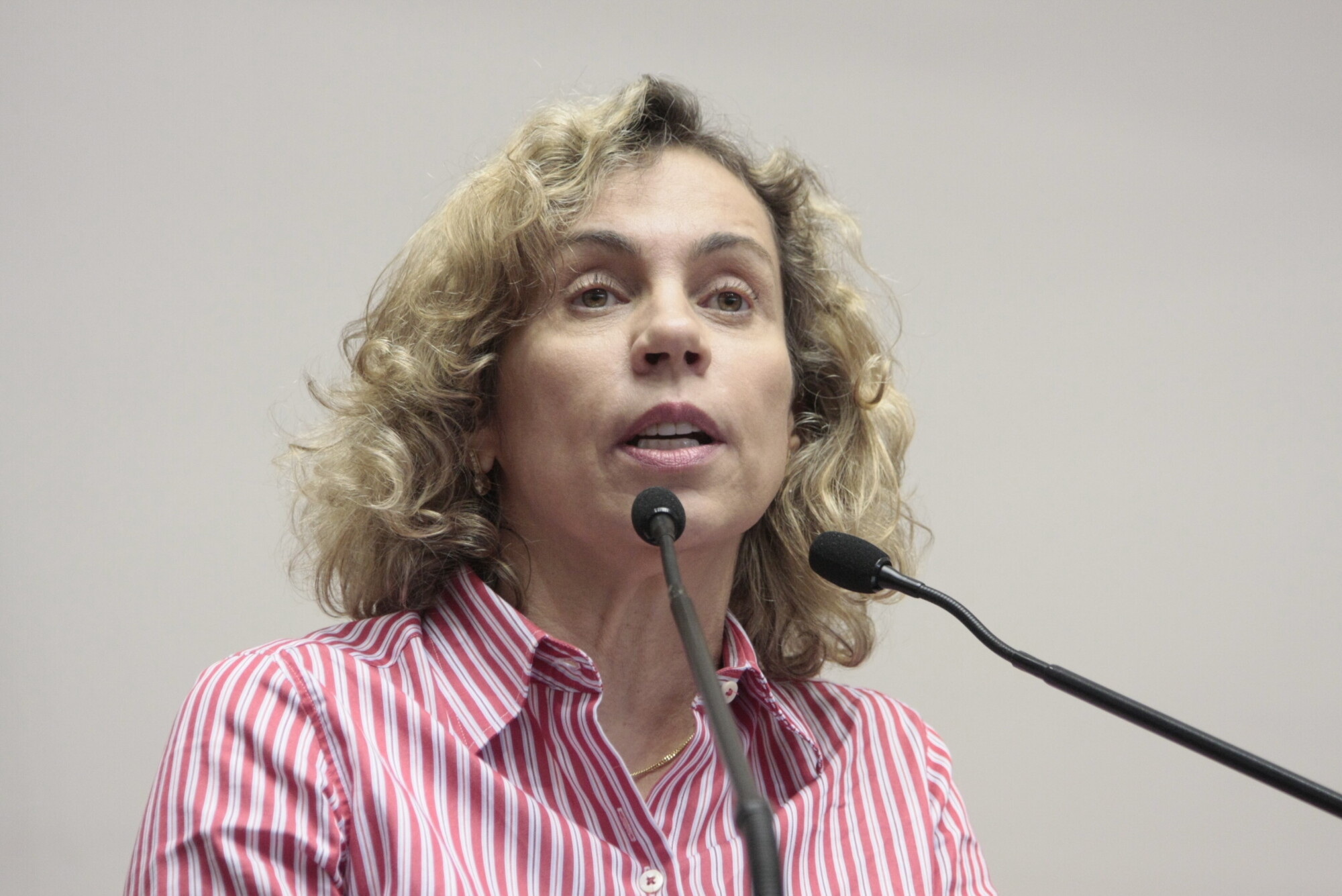 Deputada Ana Paula (PT)