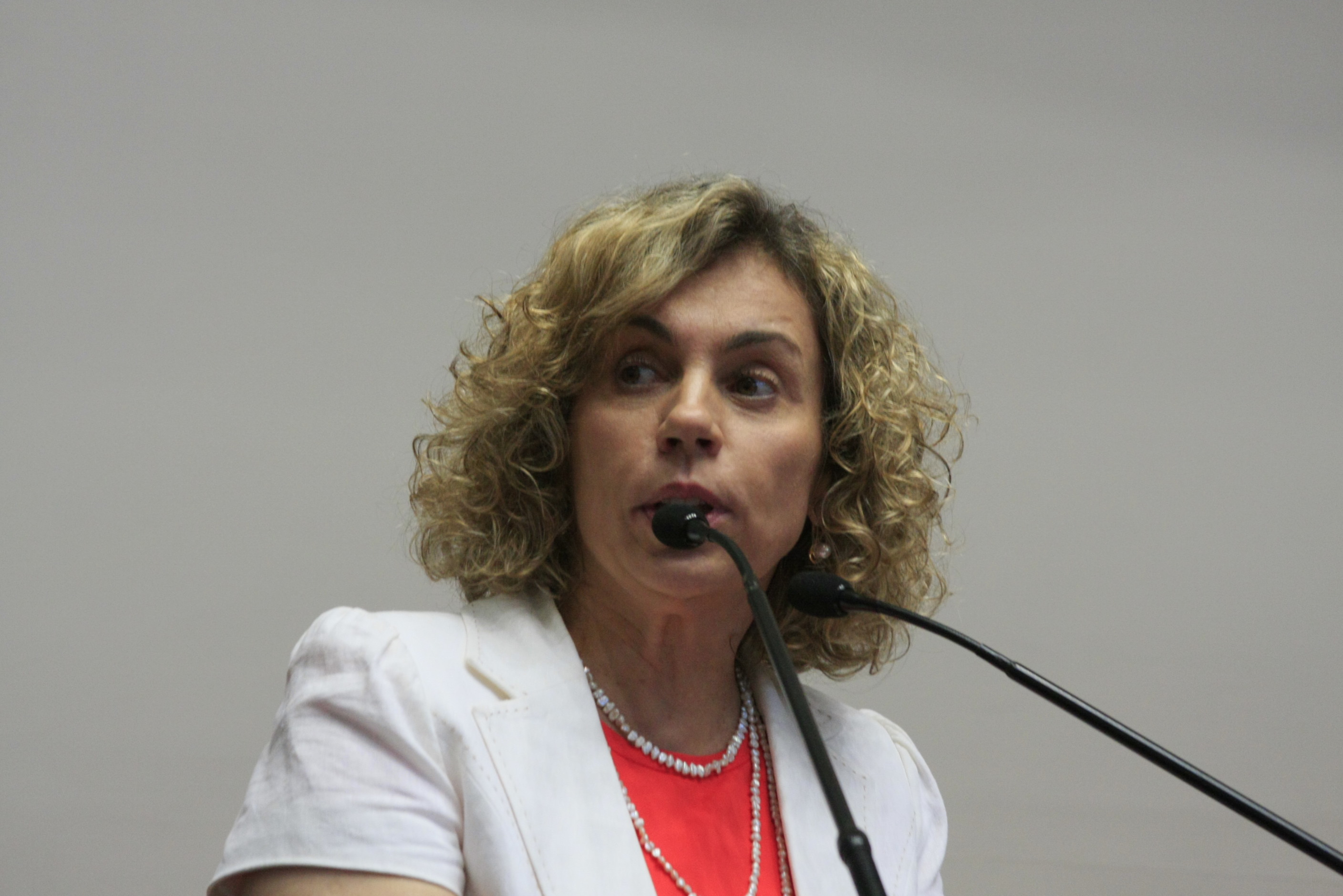 Deputada Ana Paula Lima  (PT)    Foto: Solon Soares