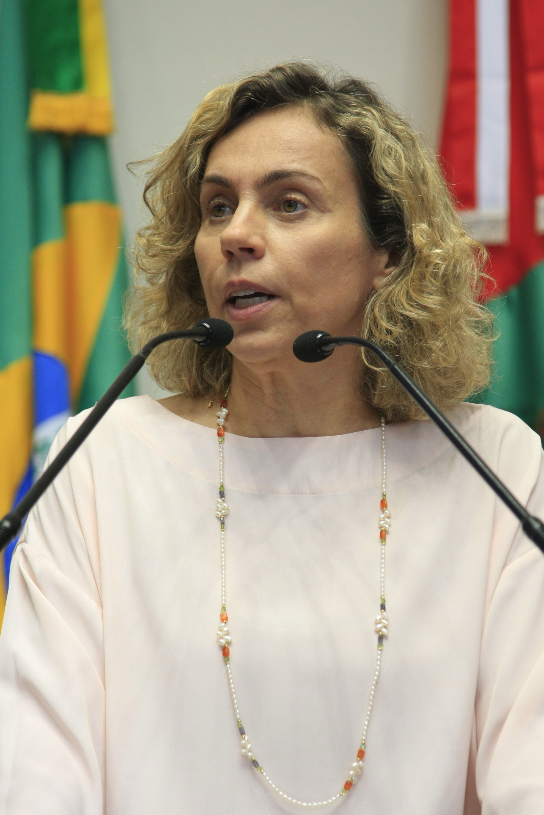 Sessão Ordinária - Deputado Ana Paula Lima (PT) - Foto: Lucas Gabriel Diniz