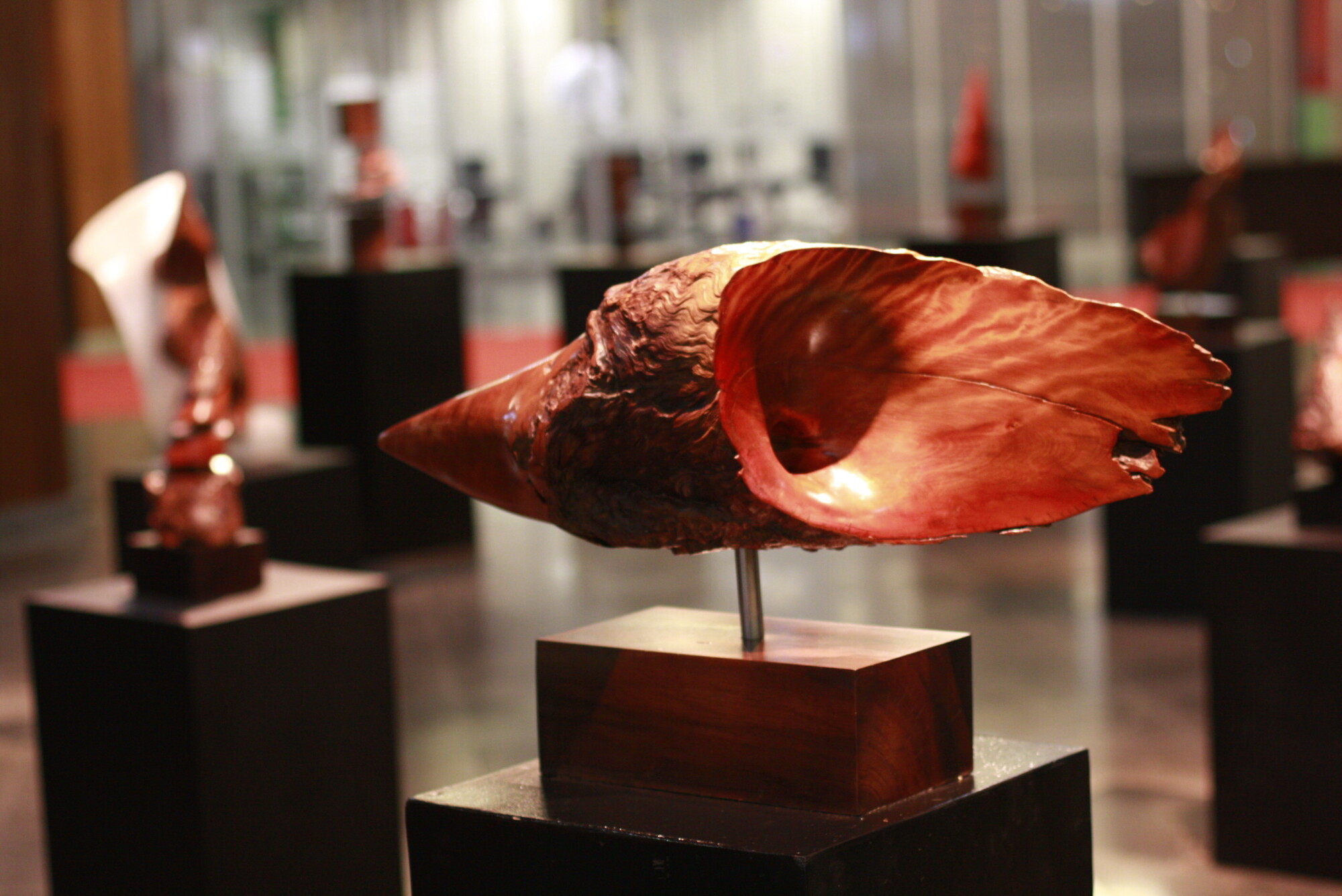 Esculturas feitas com nó de pinho dão nome à exposição “Nós do Sul”