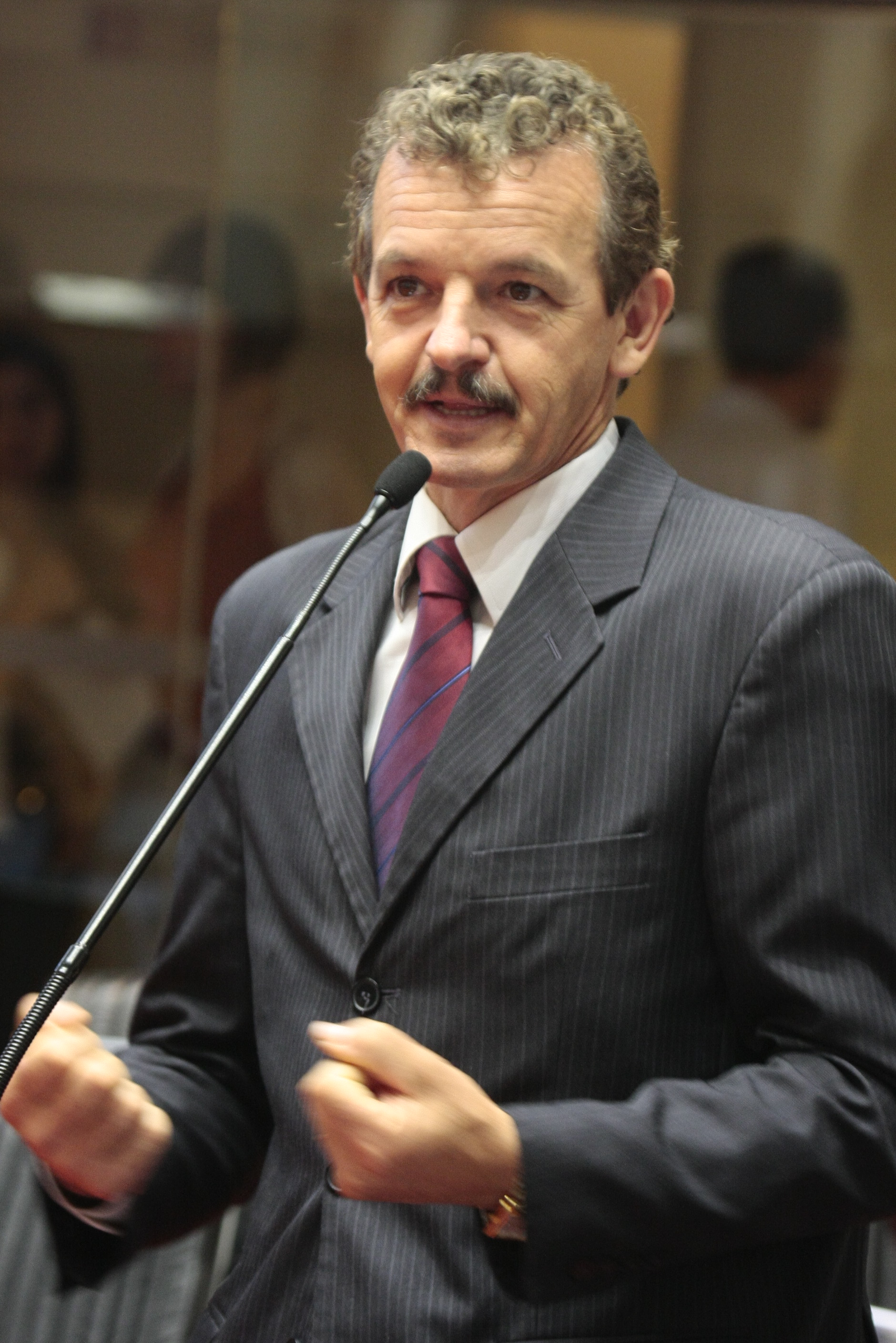 Sessão Ordinária - Plenário Osni Régis. Foto: Carlos Kilian