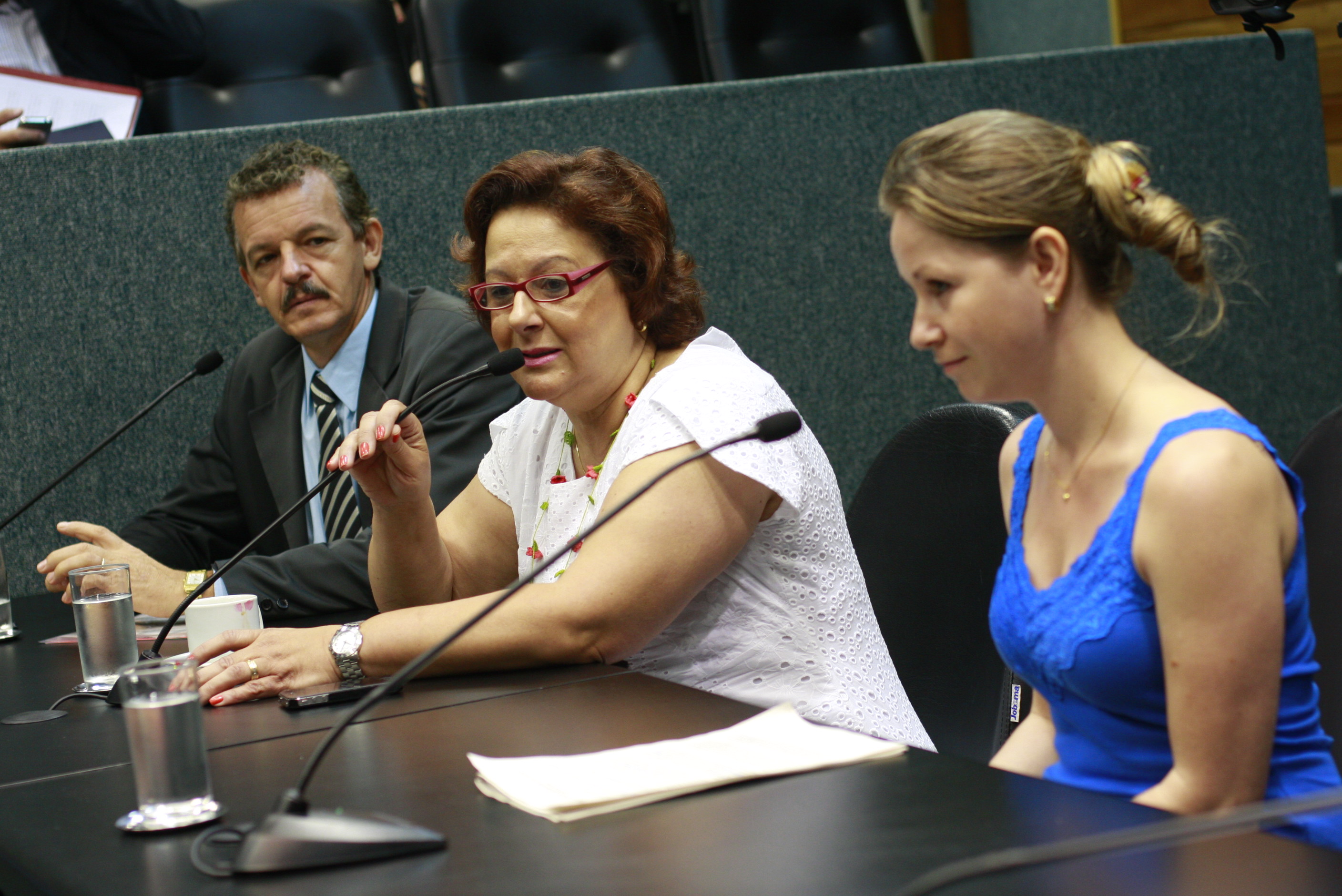 Comissão de Finanças e Tributação - Deputada Dirce Heiderscheidt (PMDB). Foto: Lucas Gabriel Diniz