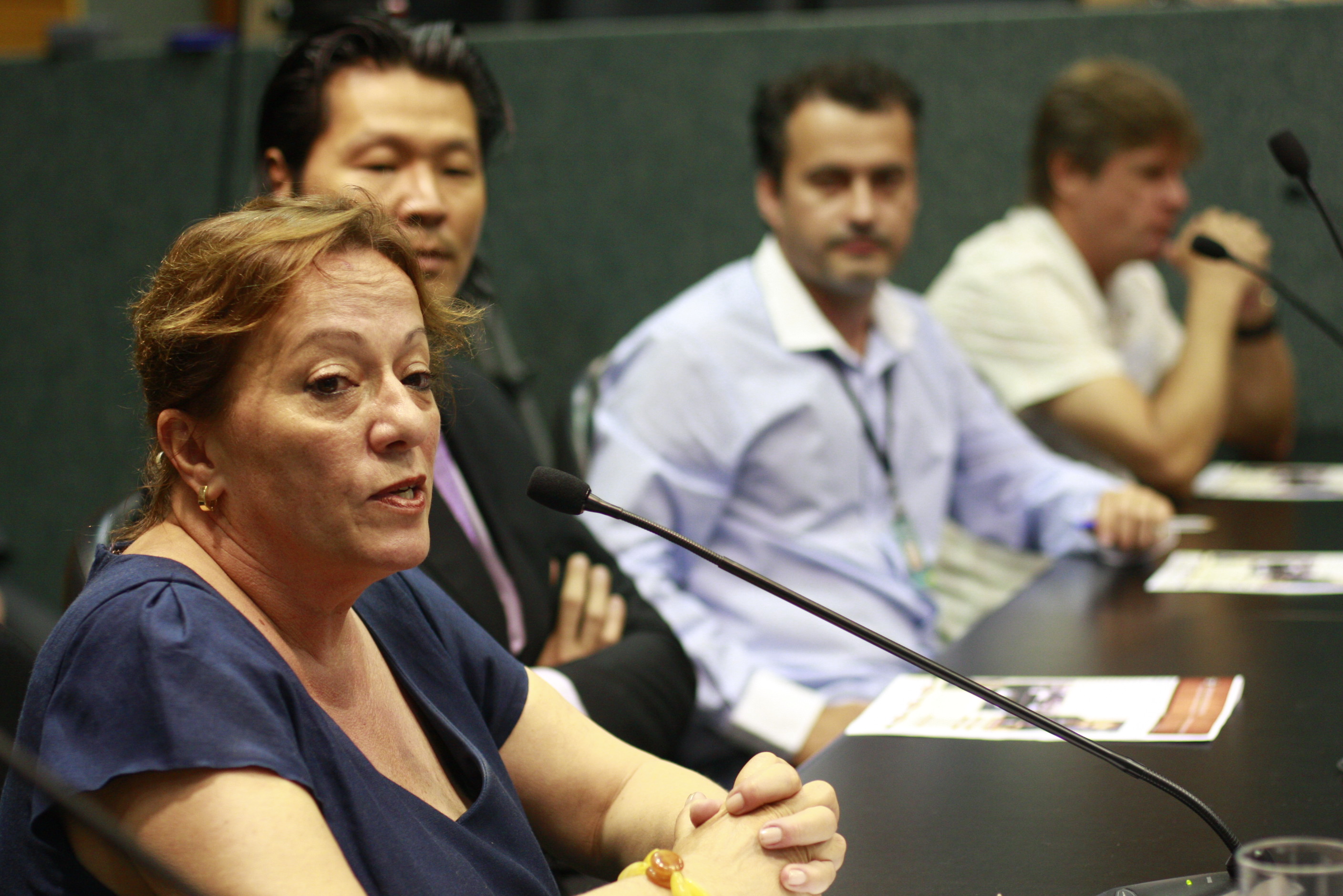 Reunião da Comissão de Segurança Pública - Maria Alice - Foto: Lucas Gabriel Diniz