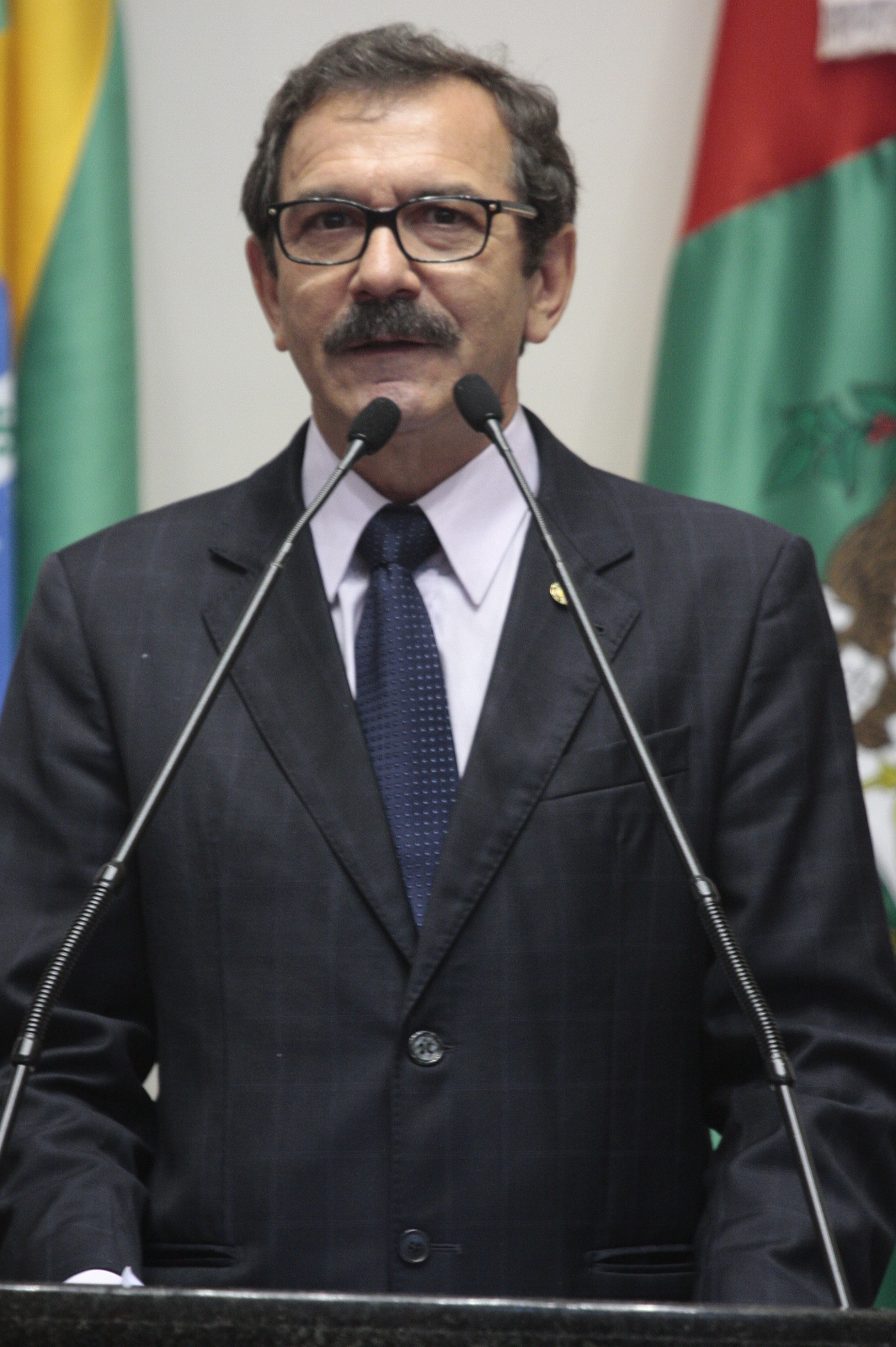 Sessão Ordinária - Plenário Osni Régis. Deputado Serafim Venzon (PSDB)  Foto: Miriam Zomer