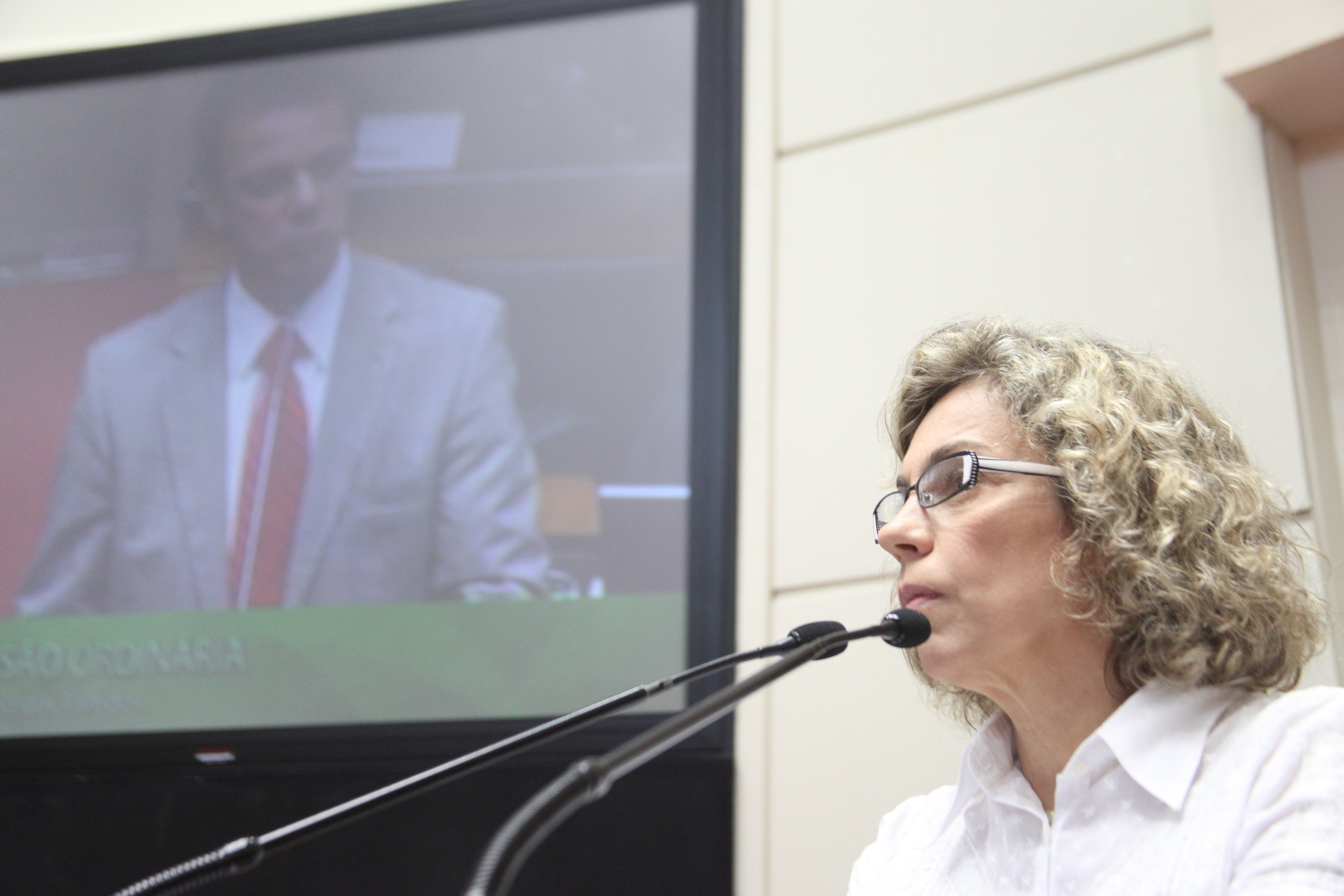 Sessão Ordinária - Plenário Osni Régis.  Deputada Ana Paula Lima (PT). Foto: Fábio Queiroz