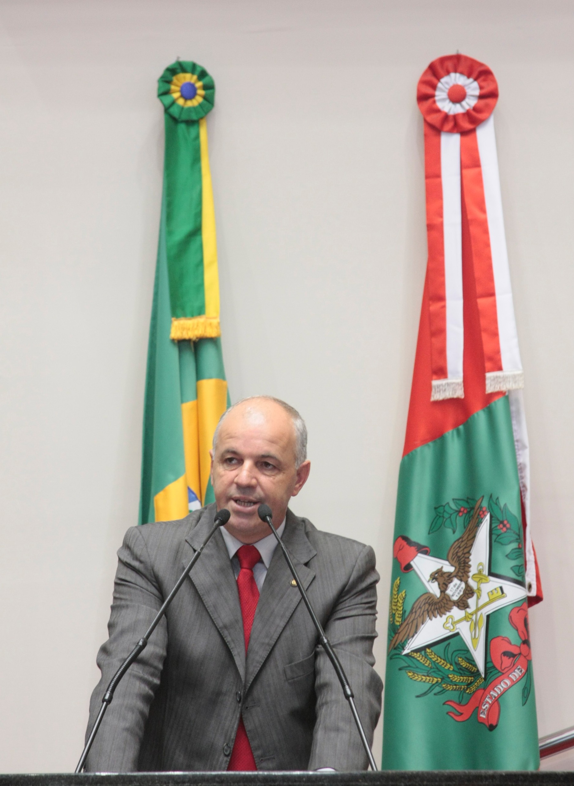 Sessão Ordinária - Plenário Osni Régis. Deputado Sargento Amauri Soares (PDT). Foto: Eduardo Guedes