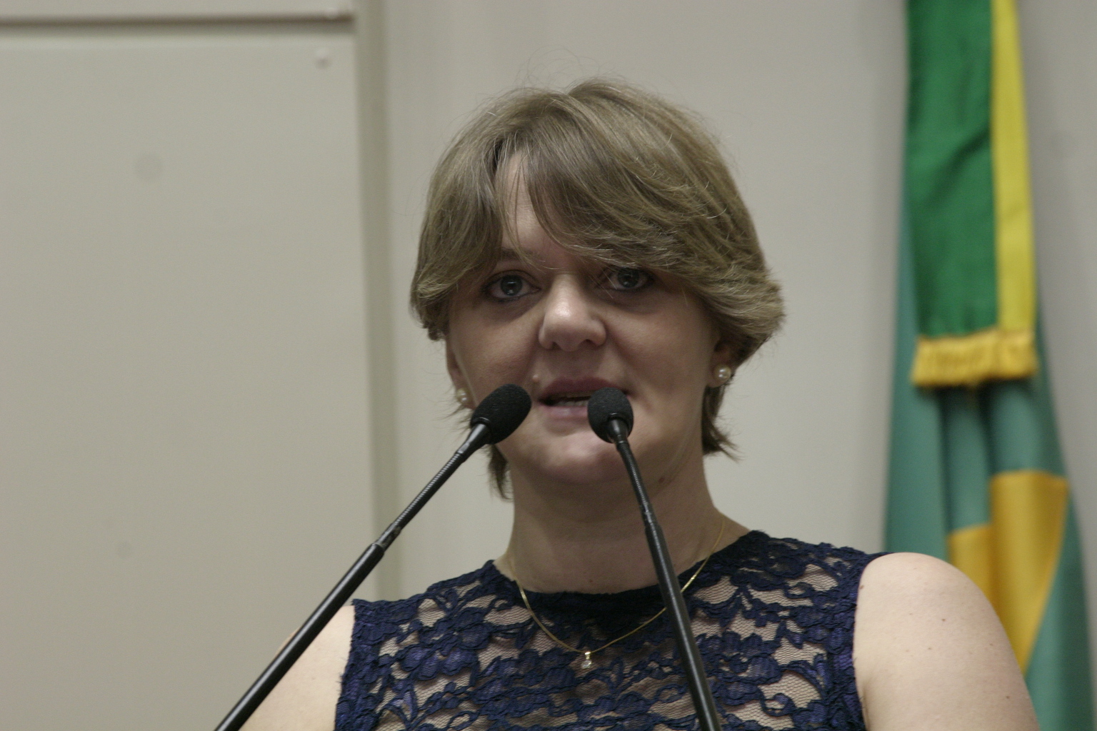 Sessão Ordinária - Plenário Osni Régis. Deputada Luciane Carminatti (PT). Foto: Eduardo Guedes