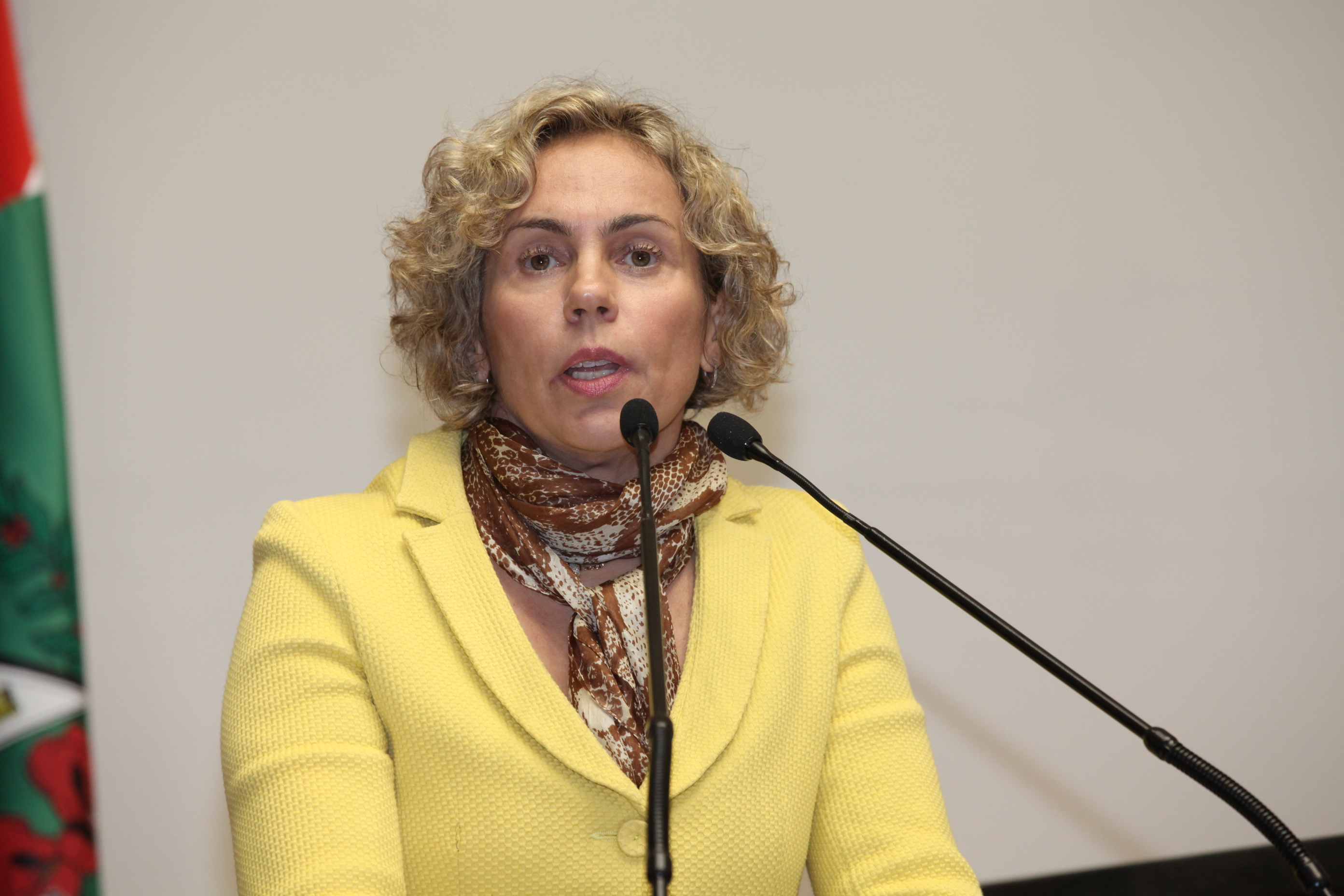 Sessão Ordinária - Plenário Osni Régis. Deputada Ana Paula Lima (PT)