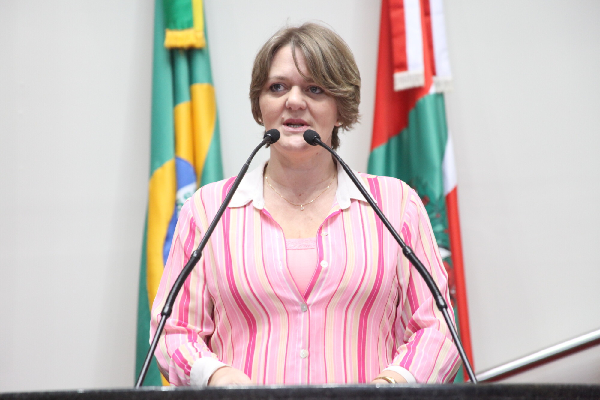 Deputada Luciane cobra urgência na reforma de escola estadual de Florianópolis