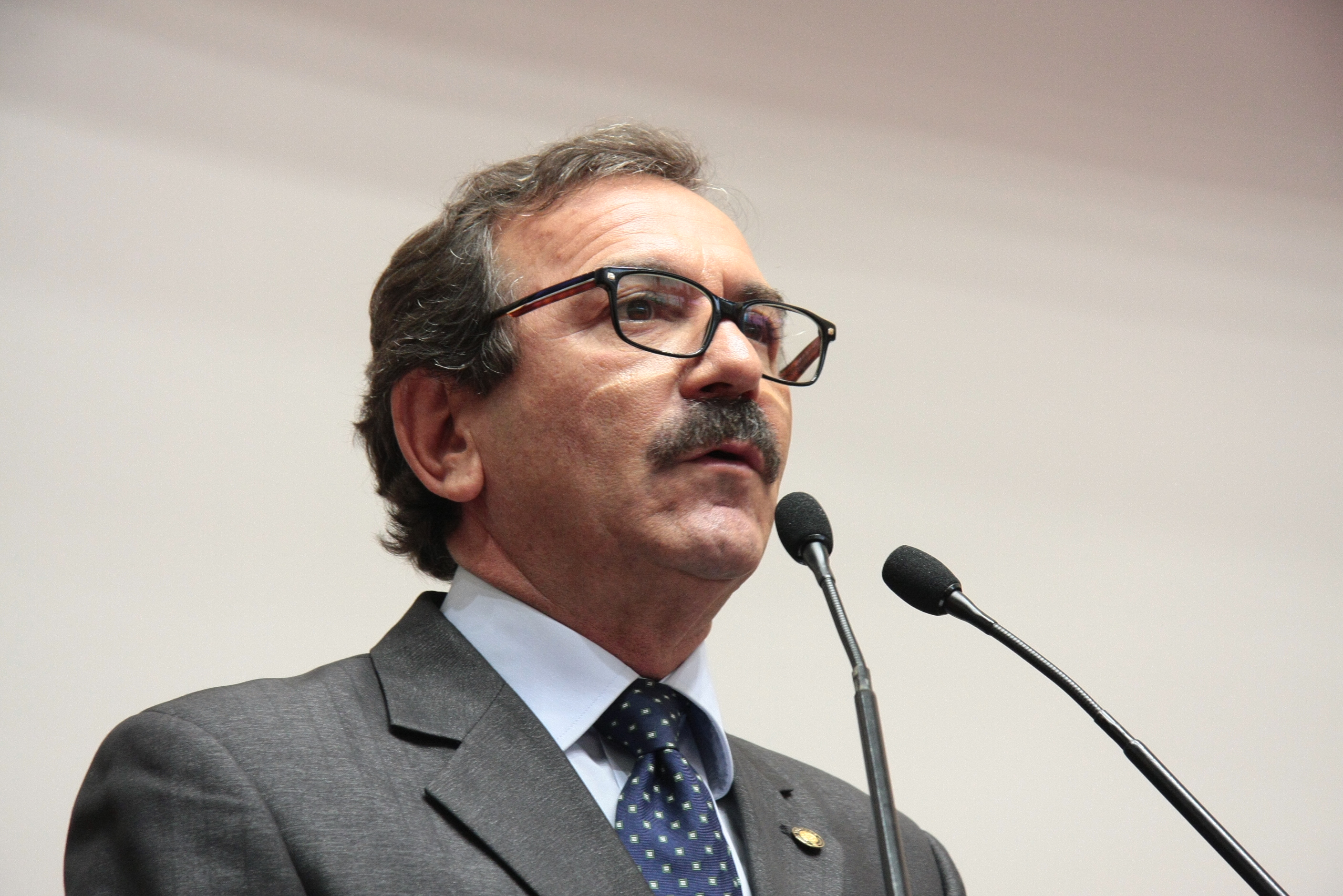Sessão Ordinária - Plenário Osni Régis. Deputado Serafim Venson (PSDB)  Foto: Eduardo Guedes de Oliveira