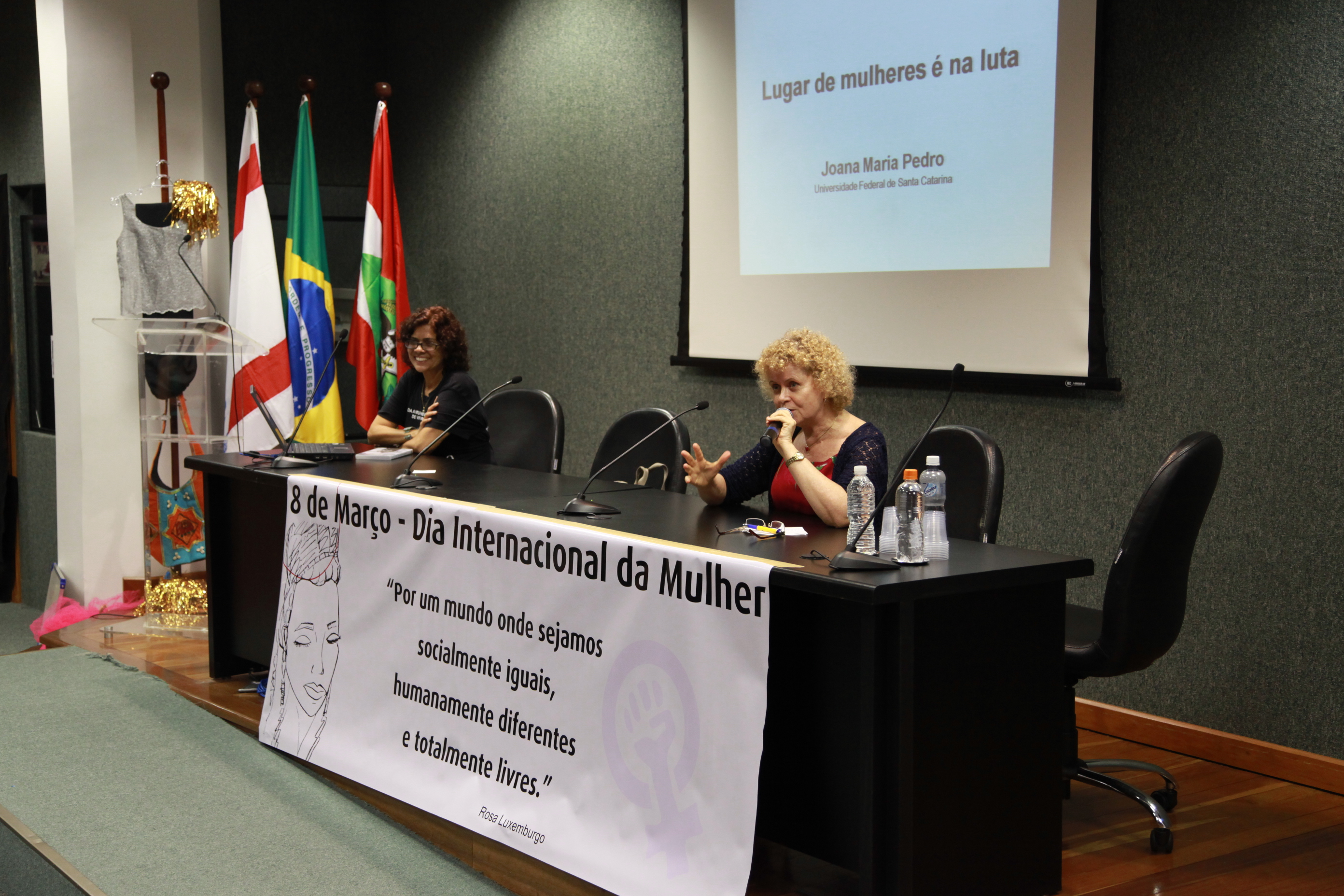 Seminário Comemorativo ao Dia Internacional da Mulher - Joana Maria Pedro - Foto: Lucas Gabriel Diniz