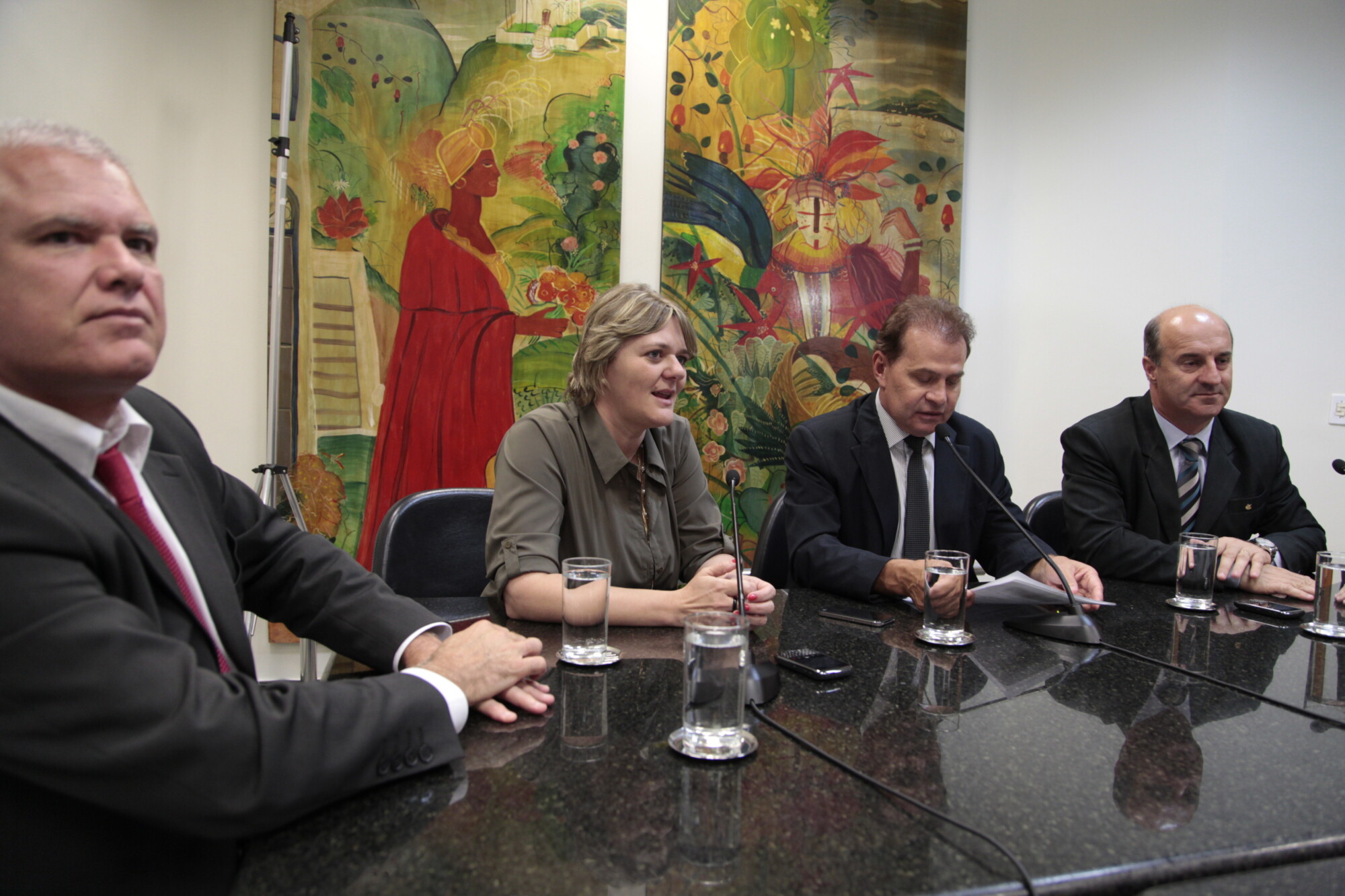 Luciane e Dirce à frente da Comissão de Direitos e Garantias Fundamentais