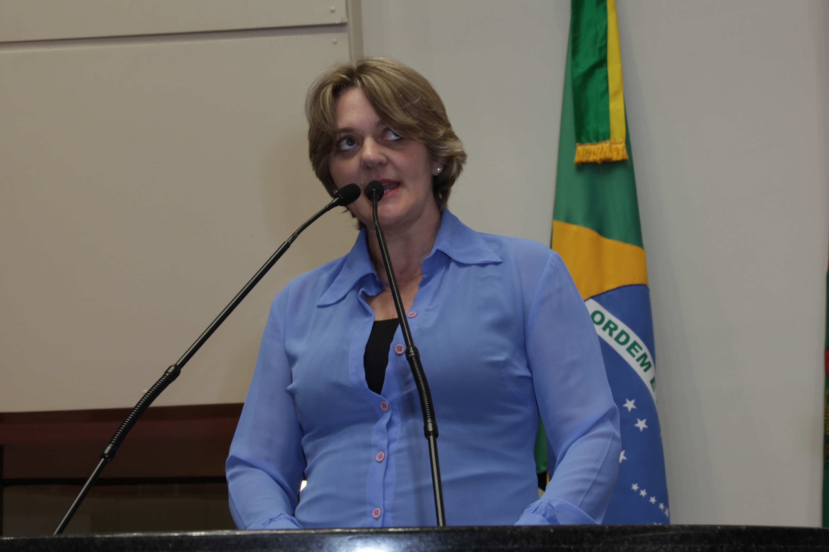 Sessão Ordinária - Plenário Osni Régis - Deputada Luciane Carminatti (PT). Foto: Solon Soares